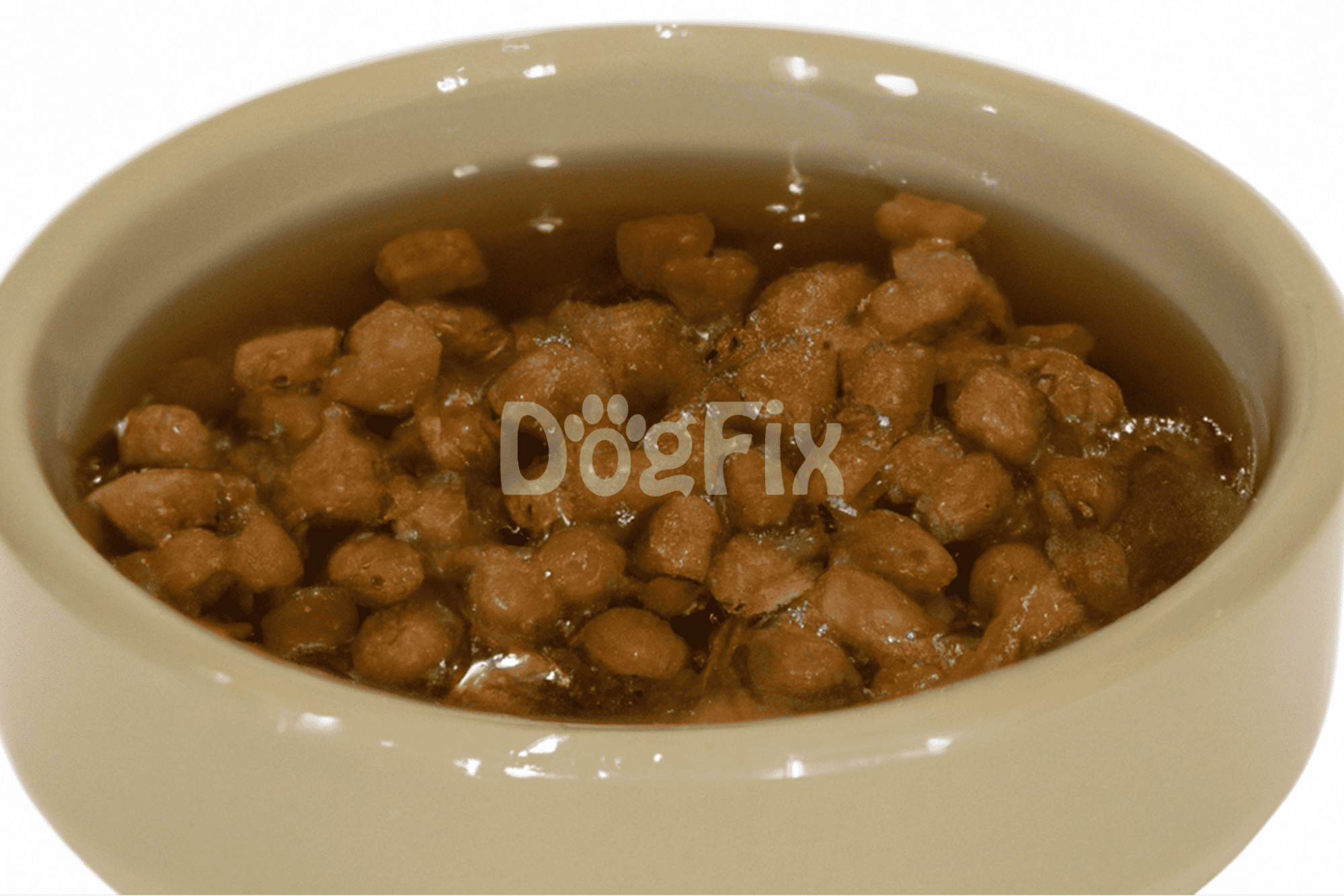 Close-up of dog food in a bowl, showing healthy, tasty meal options for pet dogs on Dogfix.com.