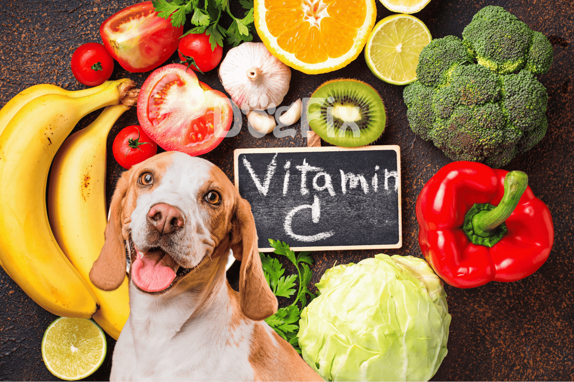 Dog with open mouth next to fresh vegetables and fruits.