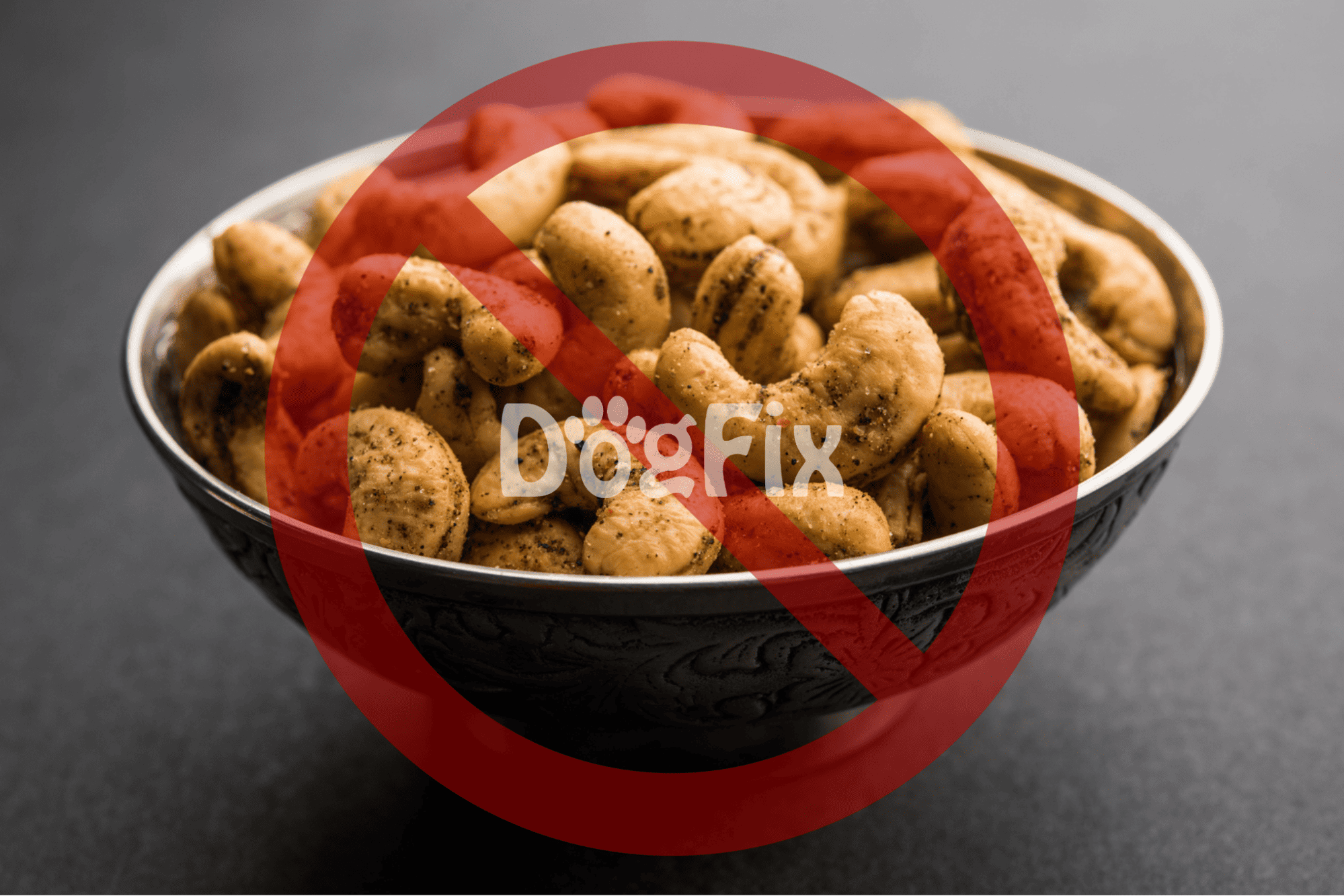 Dogfood safety warning about moldy or spoiled food.