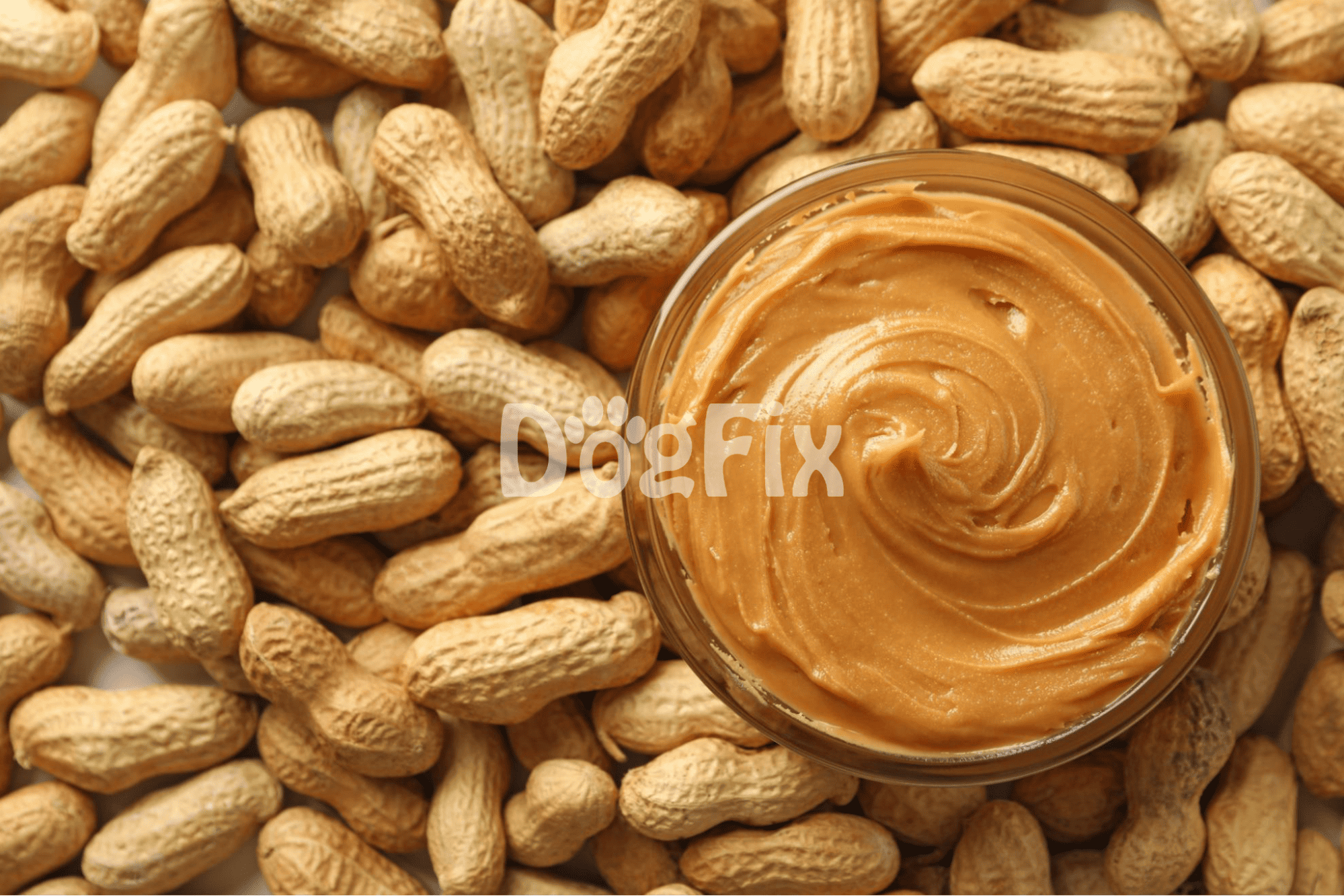 All-Natural Dog Peanut Butter Treats for Healthy Snacking.