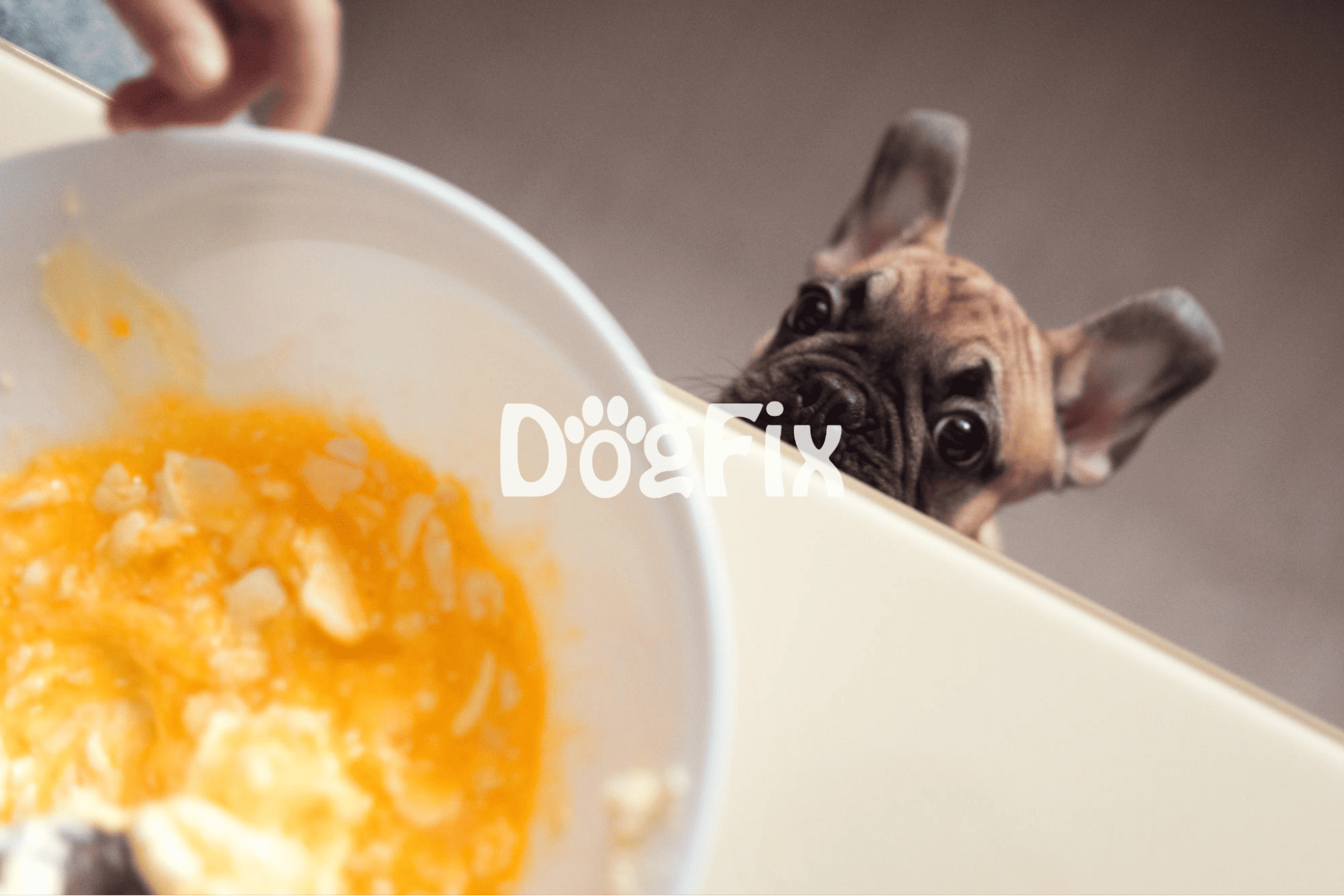 Dog looking at bowl of mashed food, preparing to eat, in a cozy kitchen setting.
