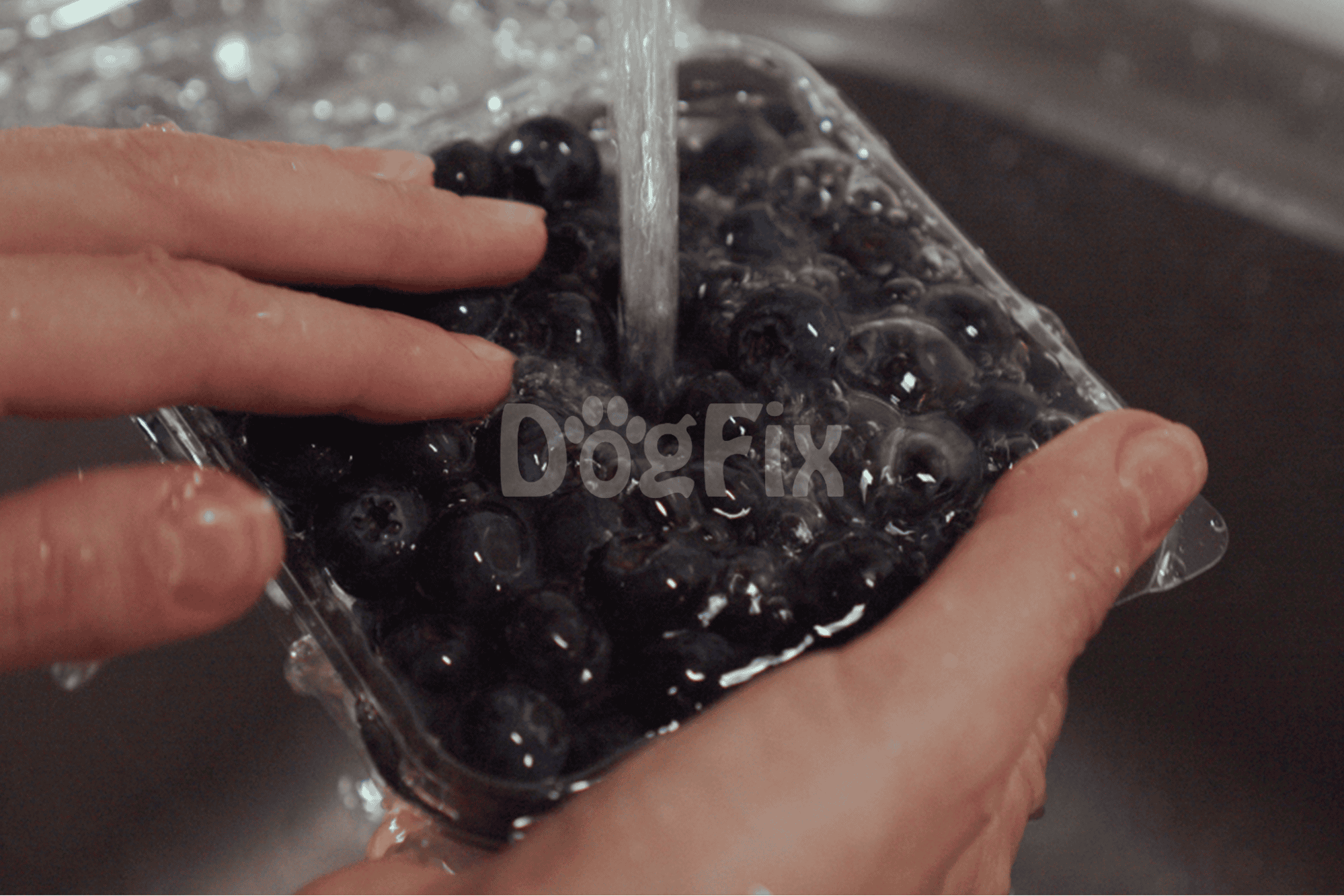 Pesticides and Preservatives