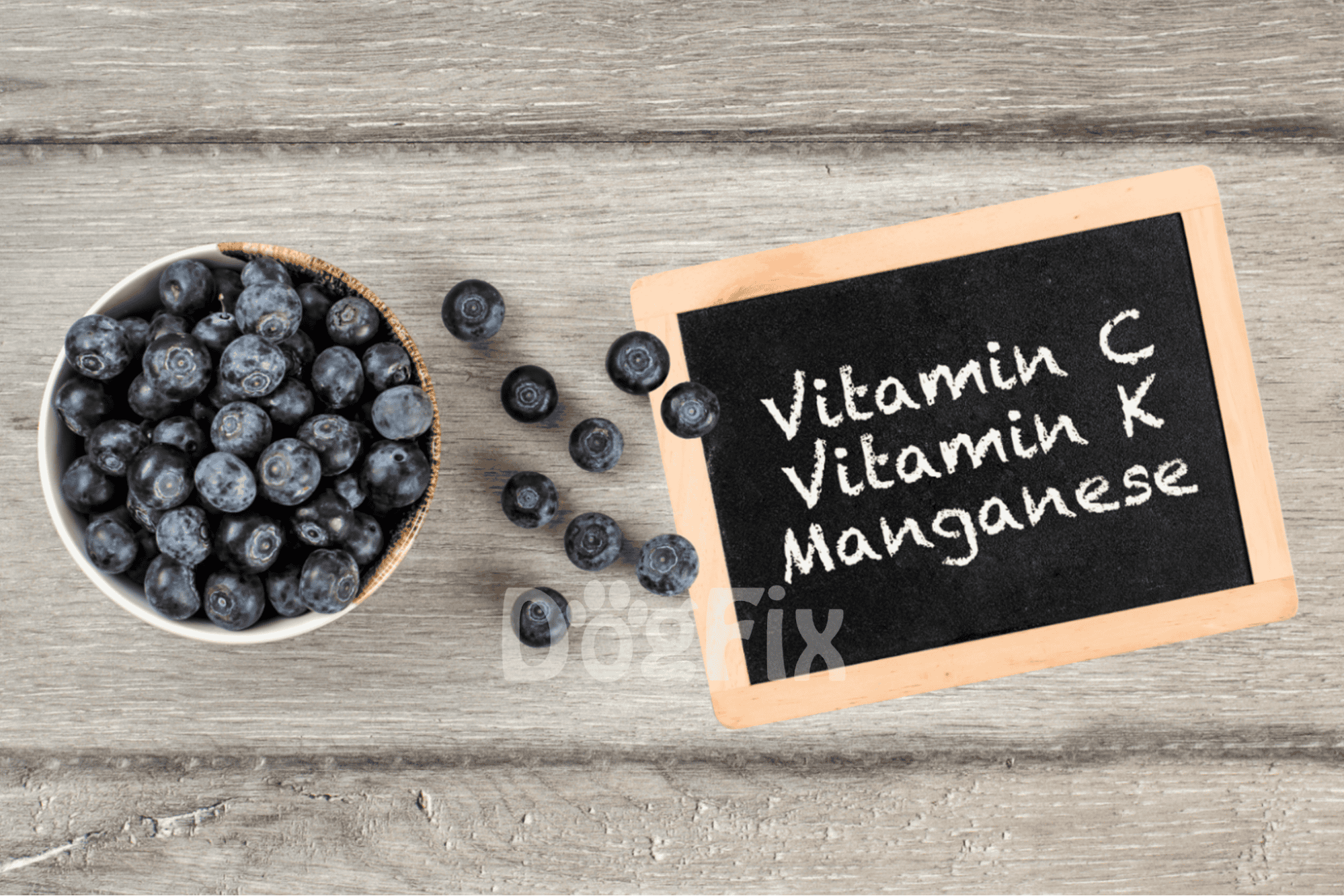 Blueberries rich in vitamins C, K, manganese, antioxidants, and fiber for dogs.