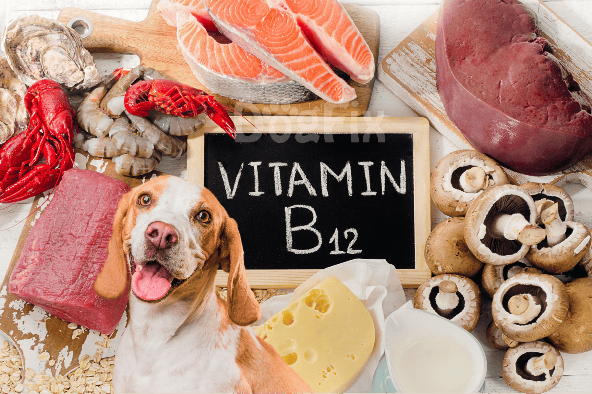 Healthy dog food proteins with Vitamin D.
