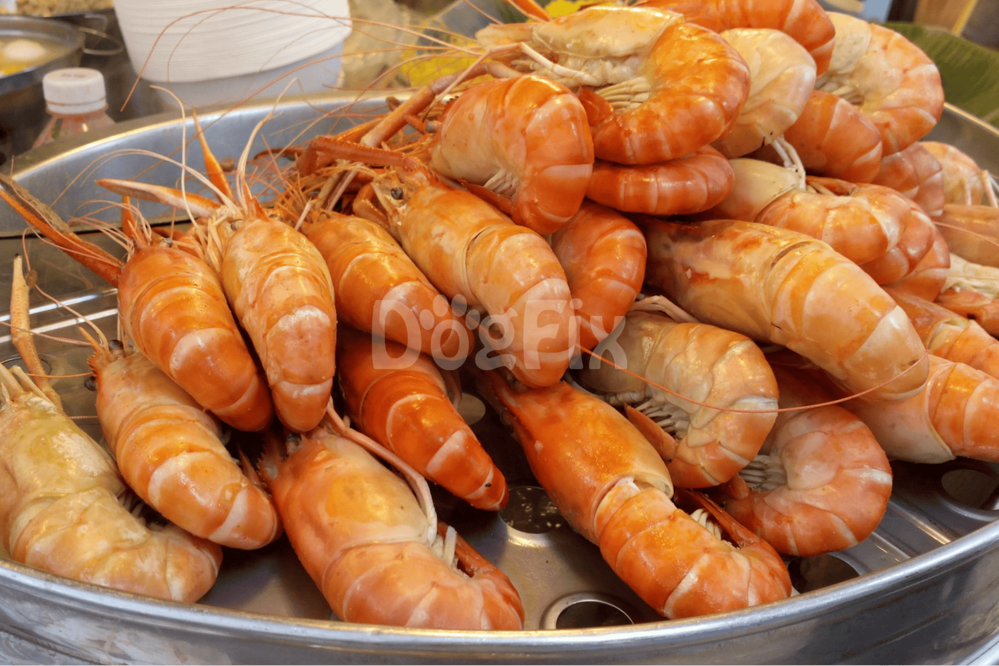Healthy seafood treats for dogs, fresh prawns, and shellfish.