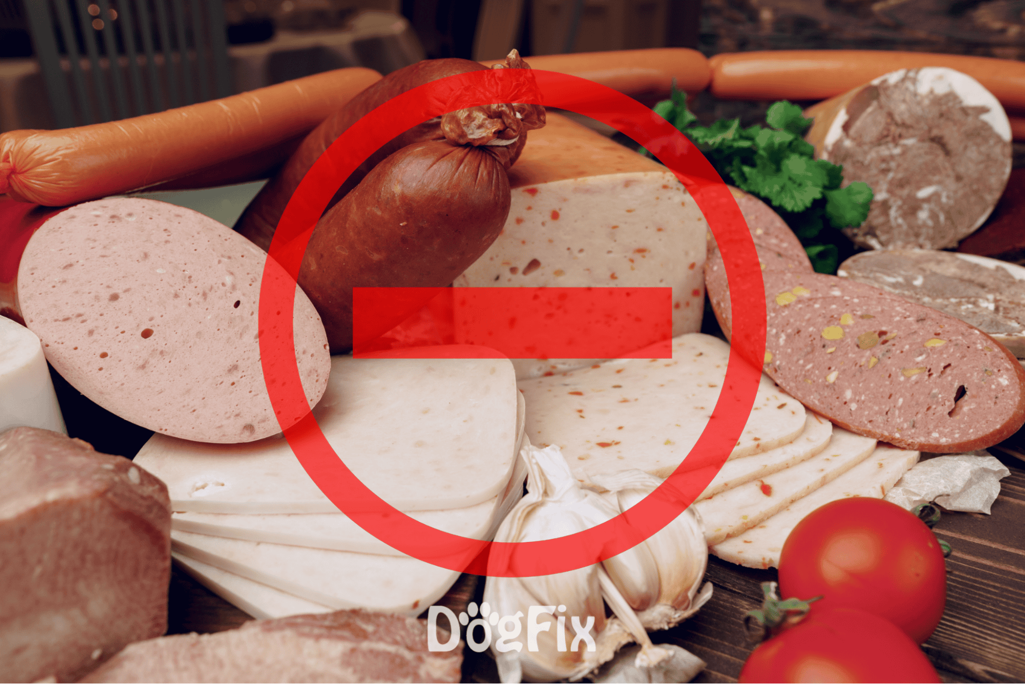 Premium meats and cheeses for dogs, healthy dog treats, high-quality pet food options.