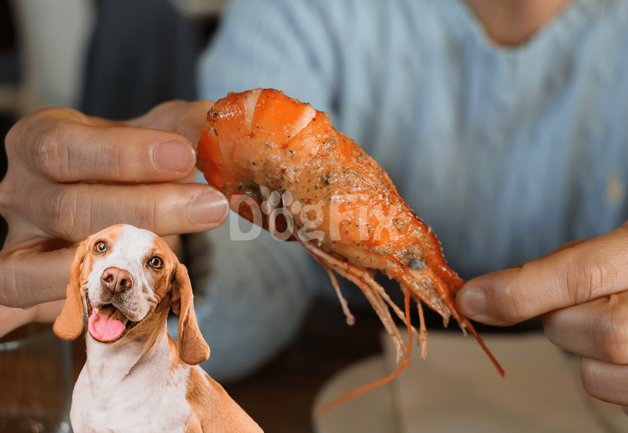 Close-up of a person holding a cooked lobster tail, highlighting pet-friendly seafood treats.
