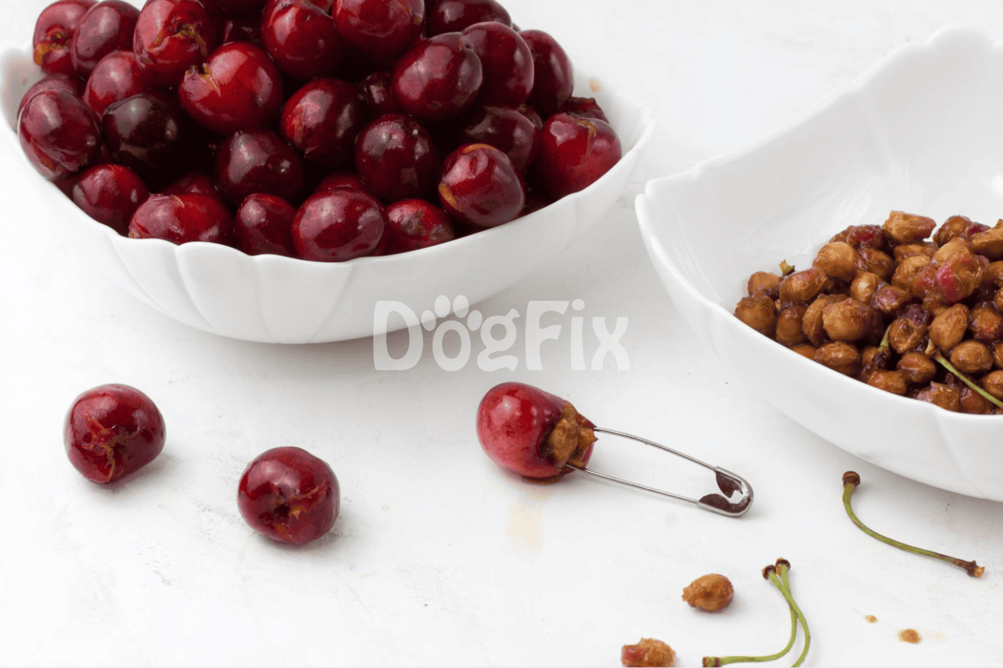 Healthy cherries and snack ingredients for dogs from Dogfix.com.