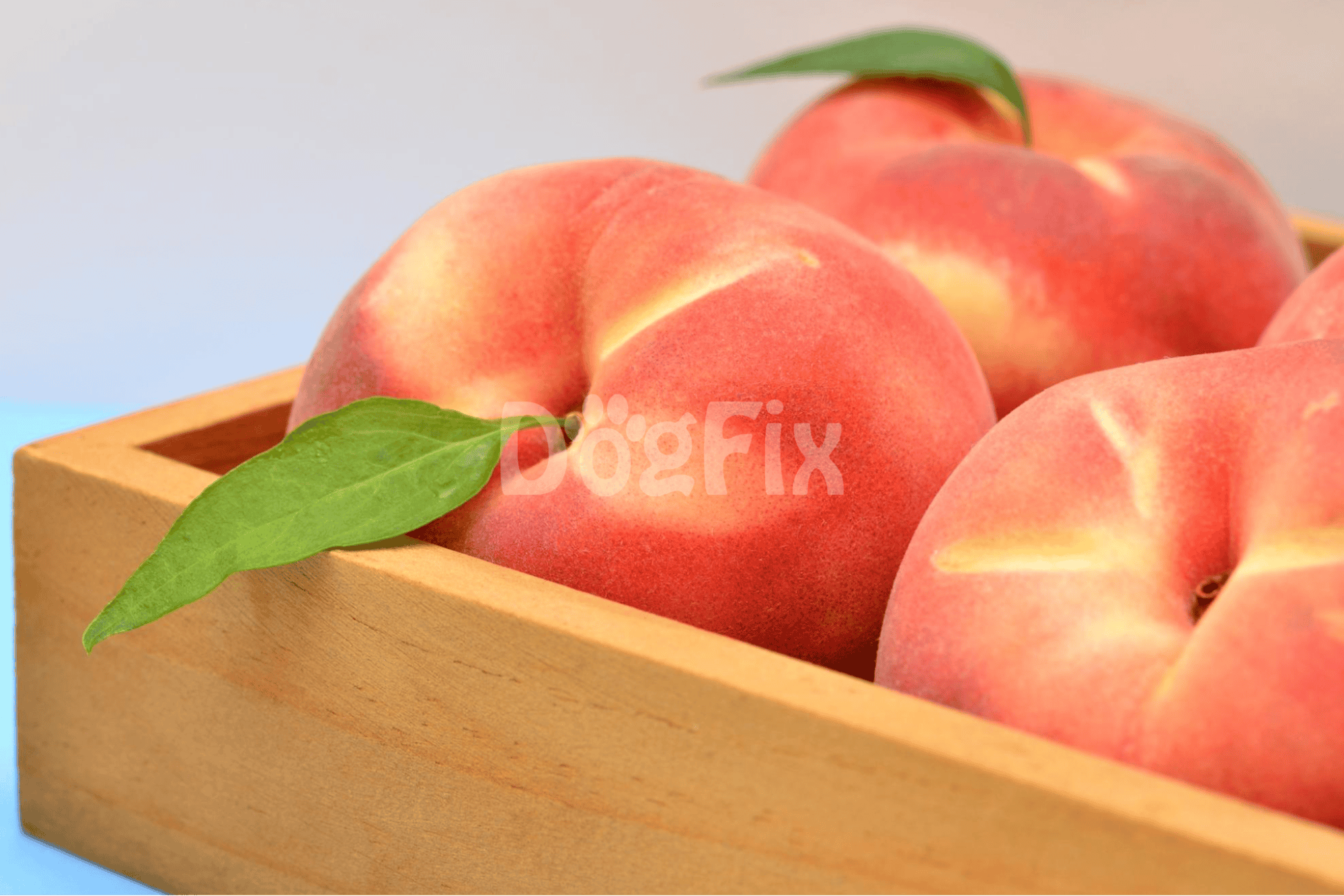 Fresh peaches in a wooden basket, perfect for healthy fruit lovers and nutritious snacks.