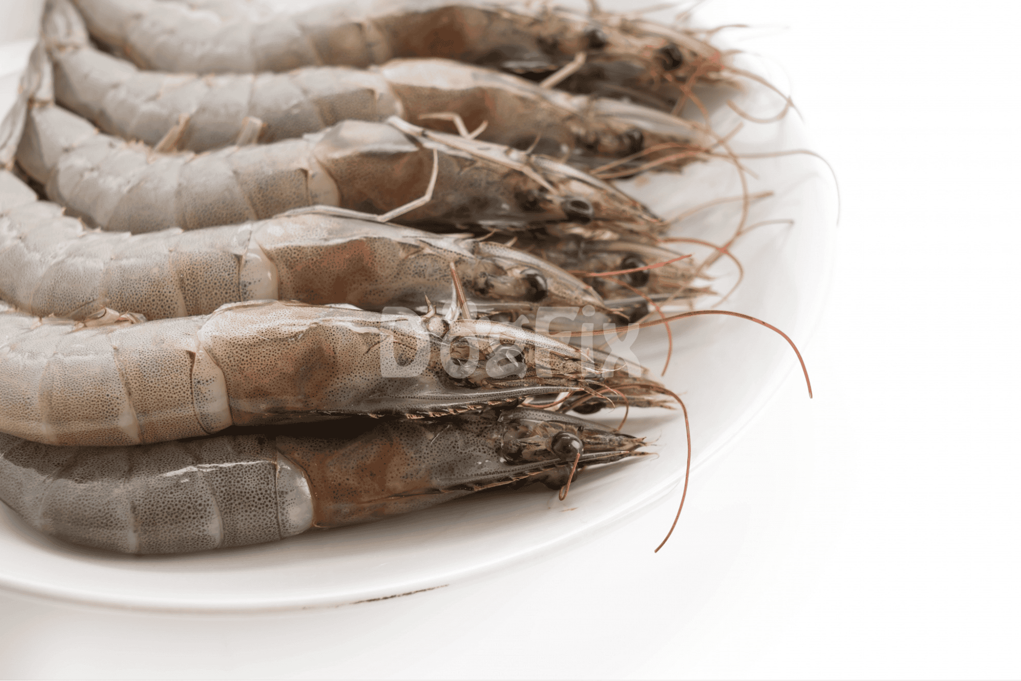 Fresh raw shrimp for dog diet, high-quality seafood for pet nutrition.