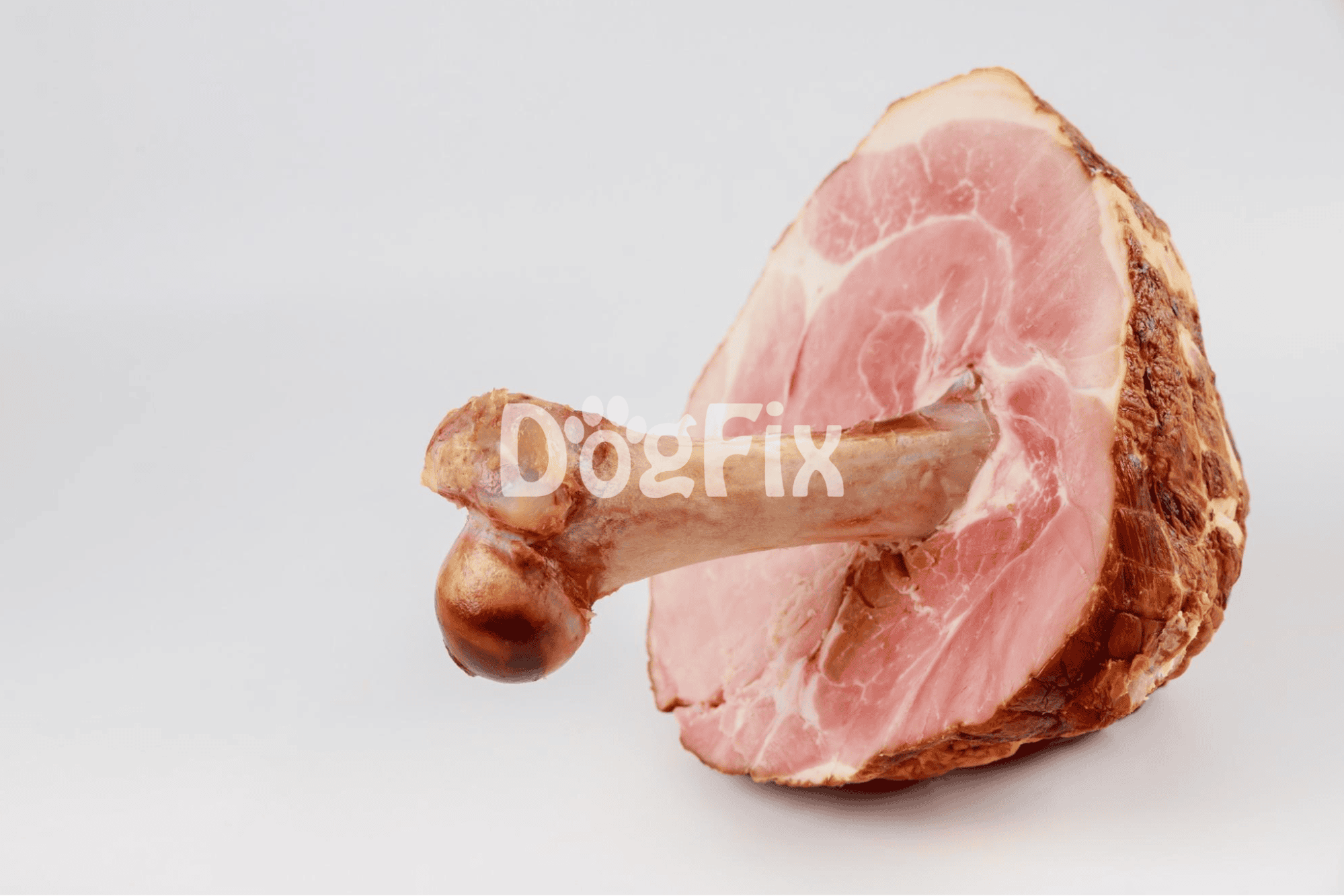 Pet-friendly ham bone for dogs, high-quality meat, safe for pet consumption.