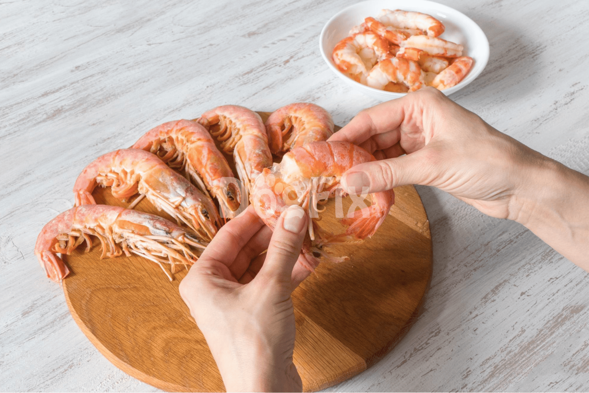 Fresh shrimp meal for dog treats, high-quality seafood, nutritious pet snack.