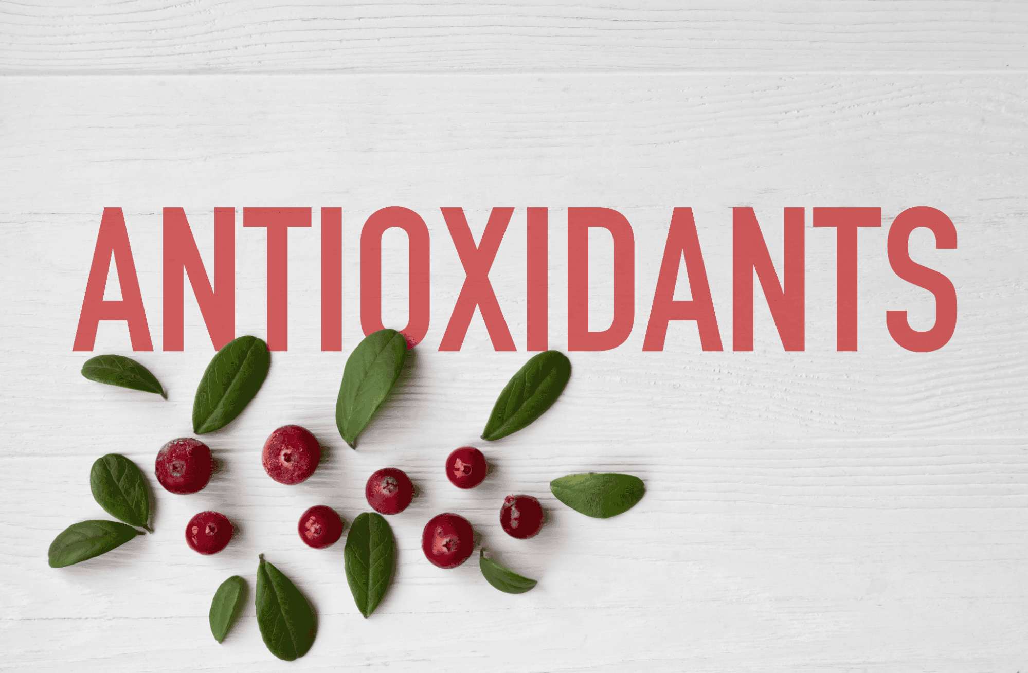 Healthy dog treats with antioxidants and superfoods for immune support.