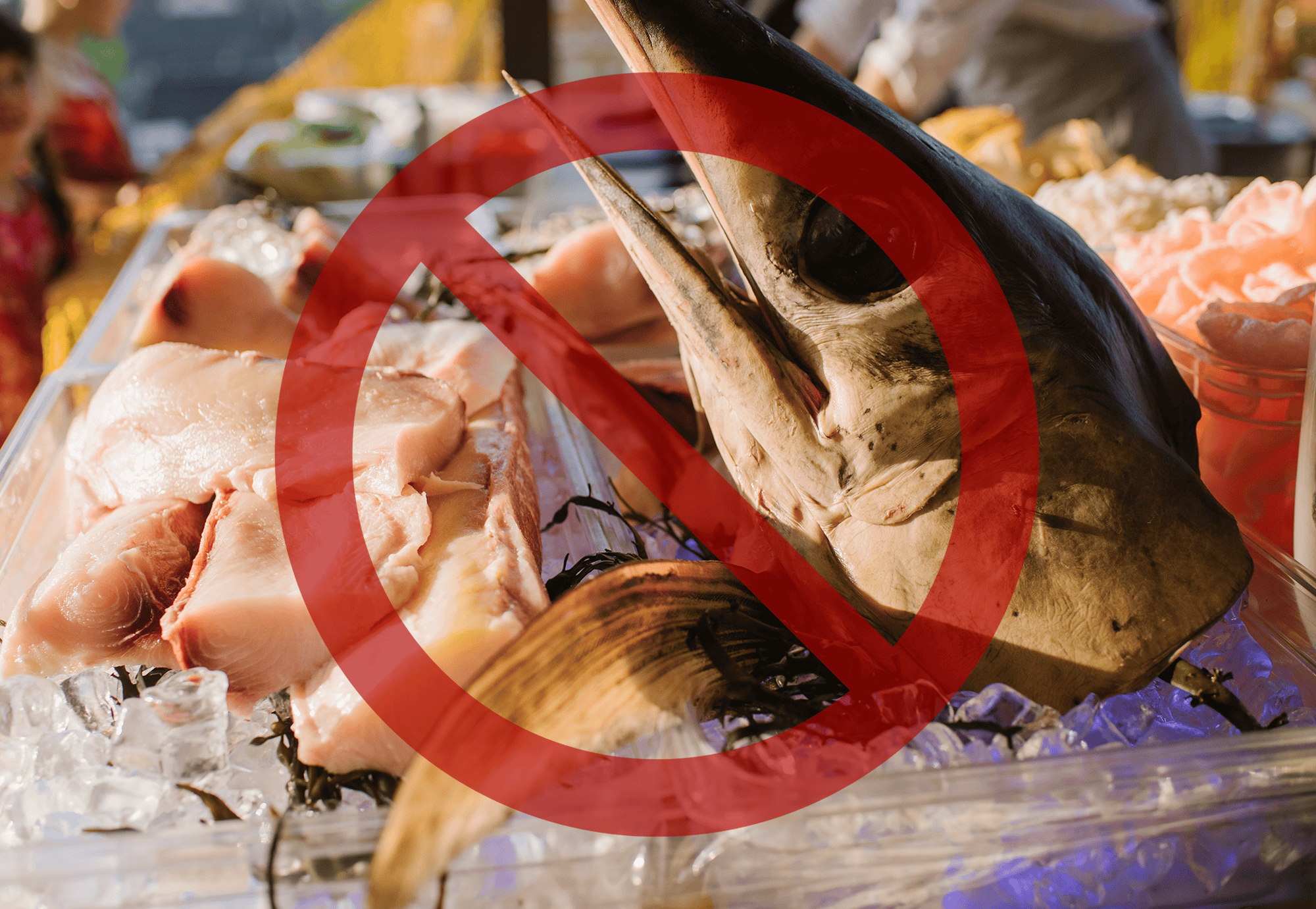 Fresh tuna fish at market, not suitable for pet consumption, check pet-safe food options.