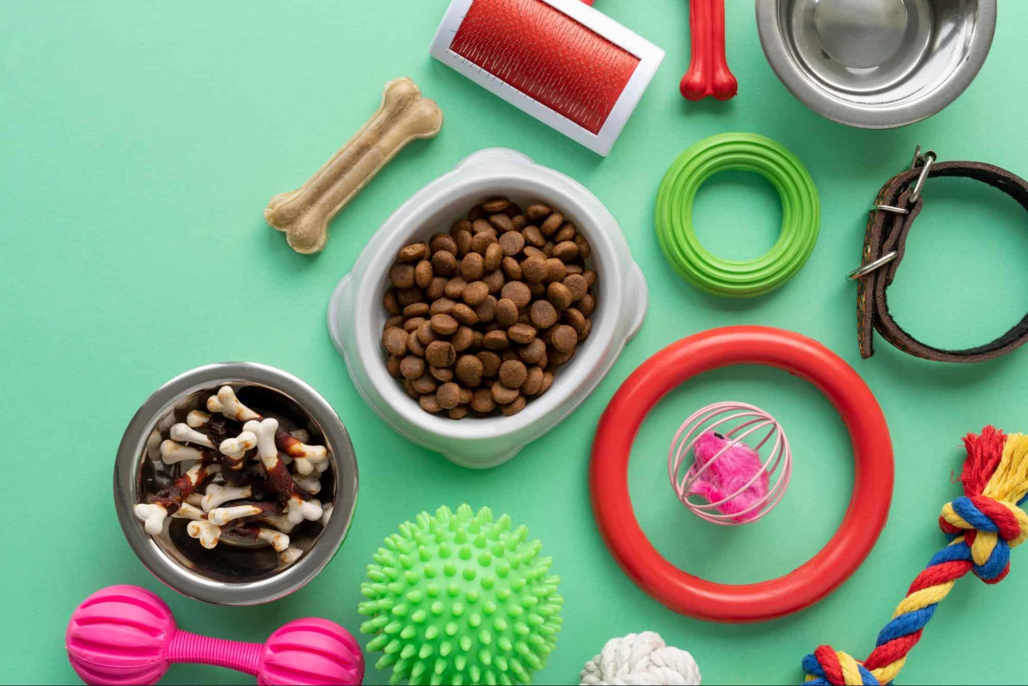 Brightly colored dog toys and accessories on green background.