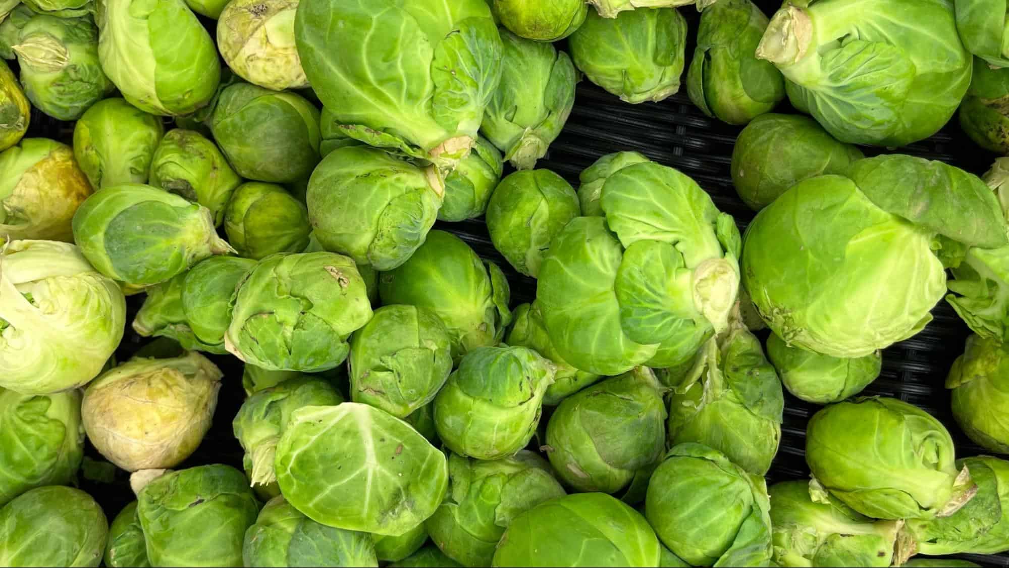 Vibrant green Brussels sprouts, known for health benefits for dogs and enriching their diet.