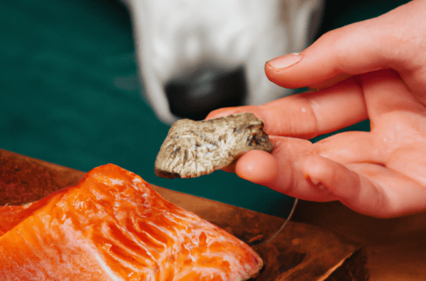 Dog-friendly raw salmon served as healthy treat for dogs, promoting nutritious diet.