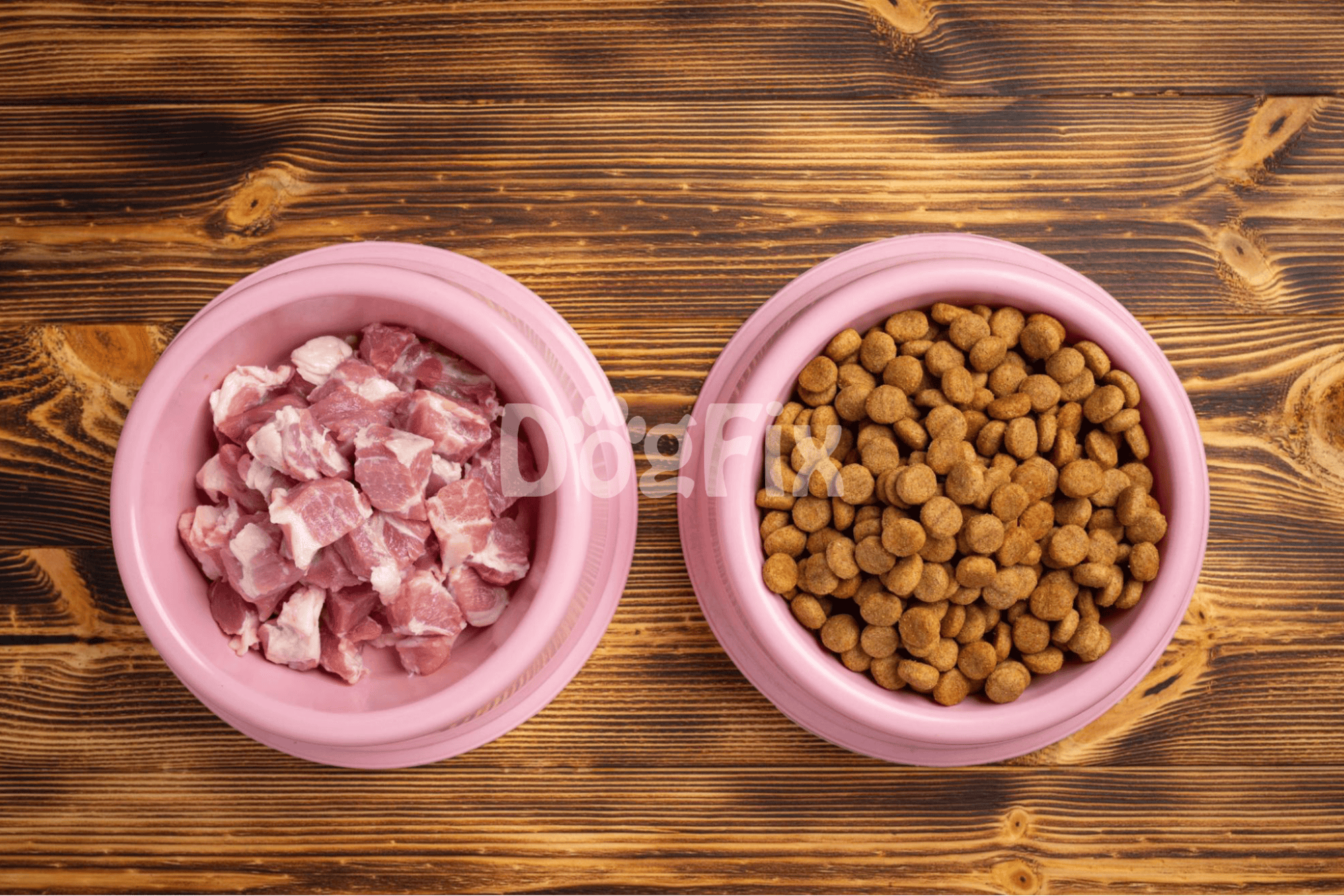 Healthy pet food options with fresh meat and dry kibble in pink bowls for dogs.