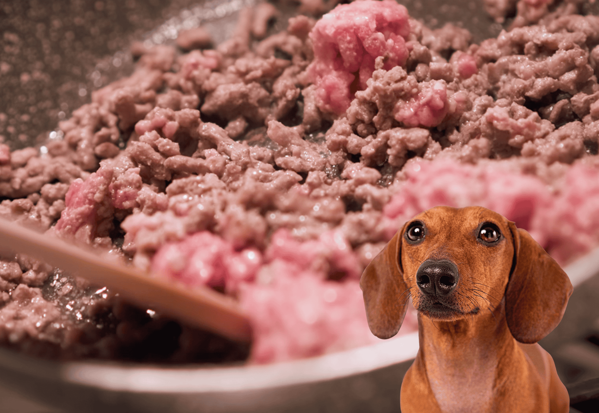 Dog food raw meat blend for pets.