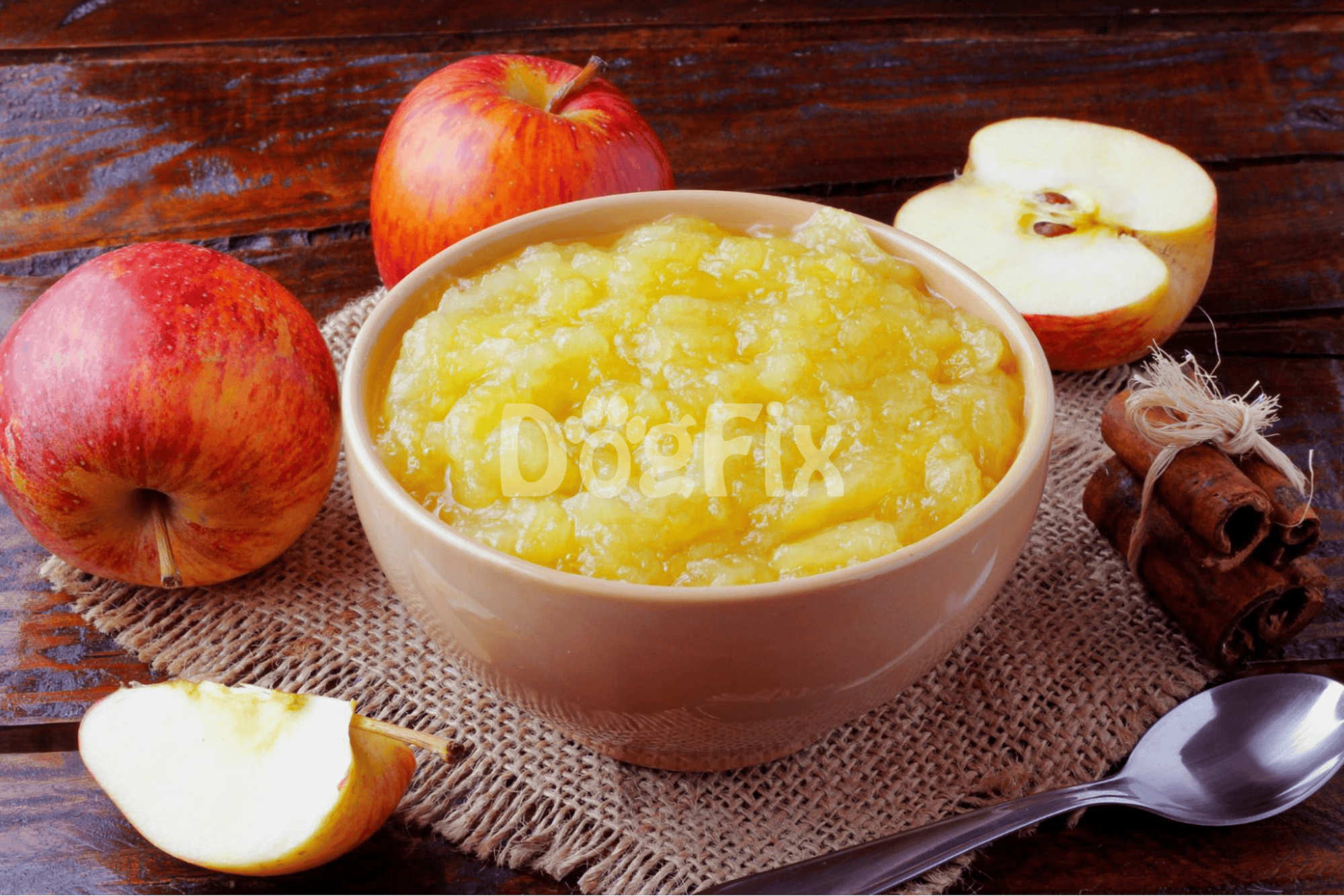 Healthy homemade apple and cinnamon dog food in a bowl.