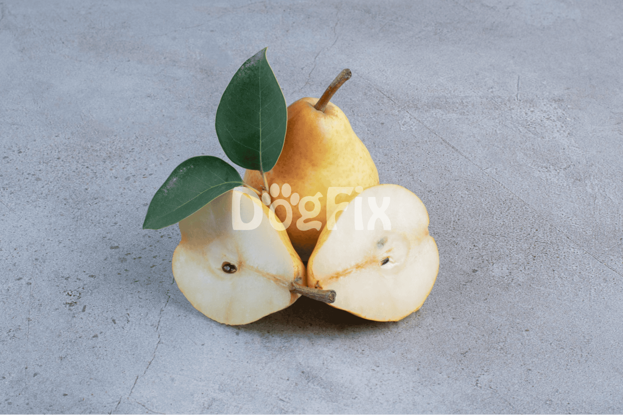 Fresh pears and slices with leaves, ideal for healthy dog treats and nutrition.