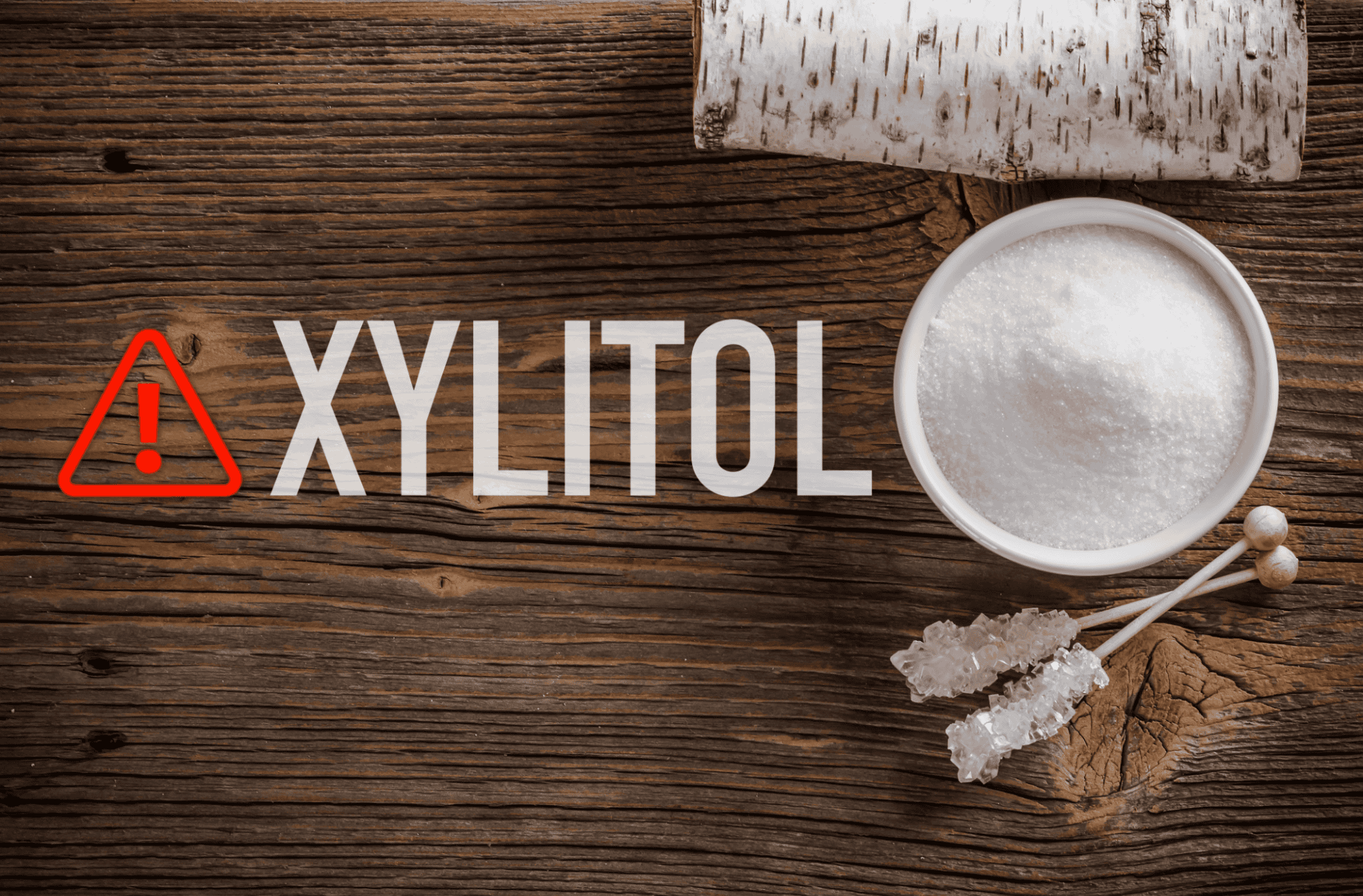 Warning sign about dog dangers of xylitol, a sugar substitute toxic to pets. Keep xylitol away from dogs to prevent poisoning.