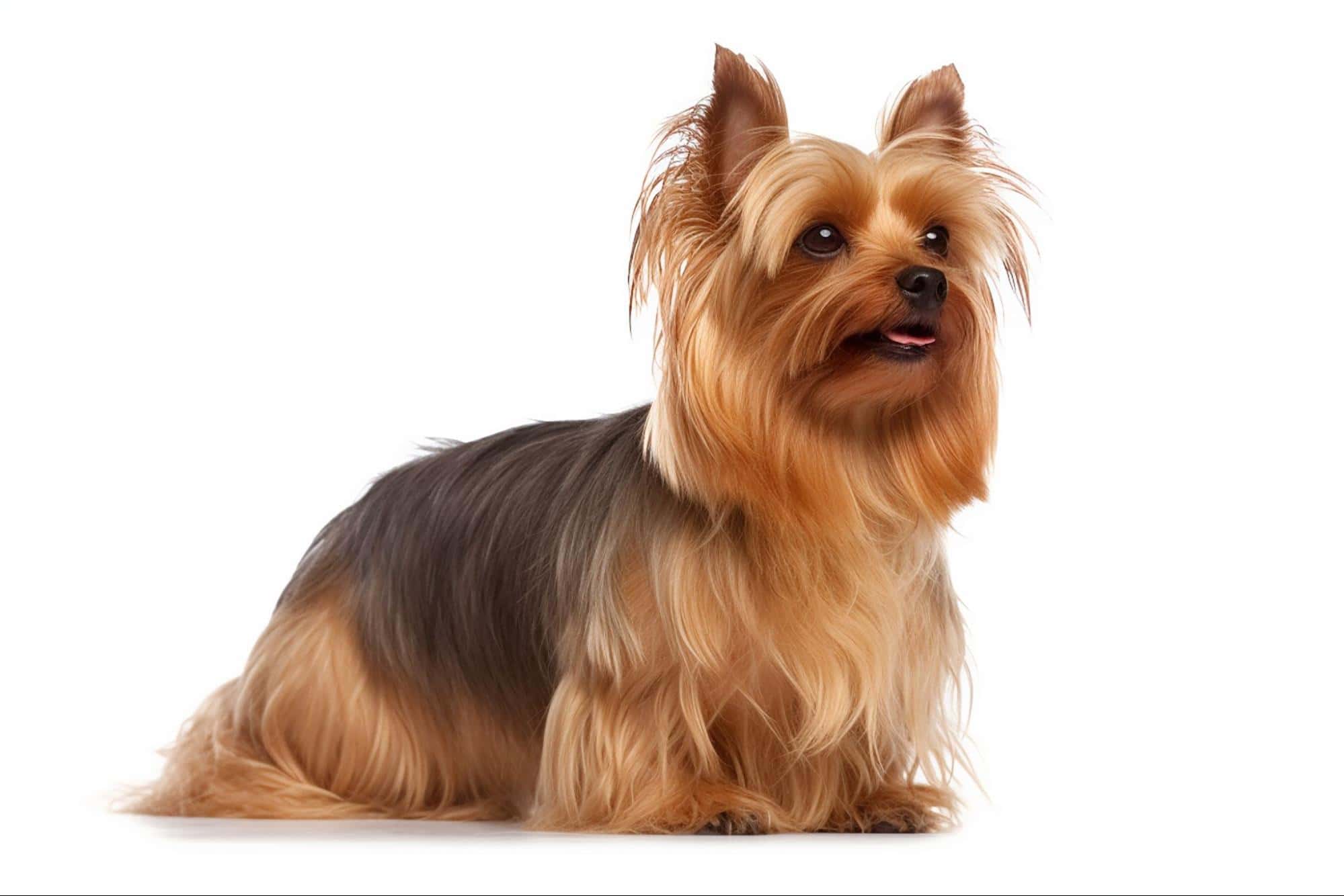 Does It Help With Itchy Skin