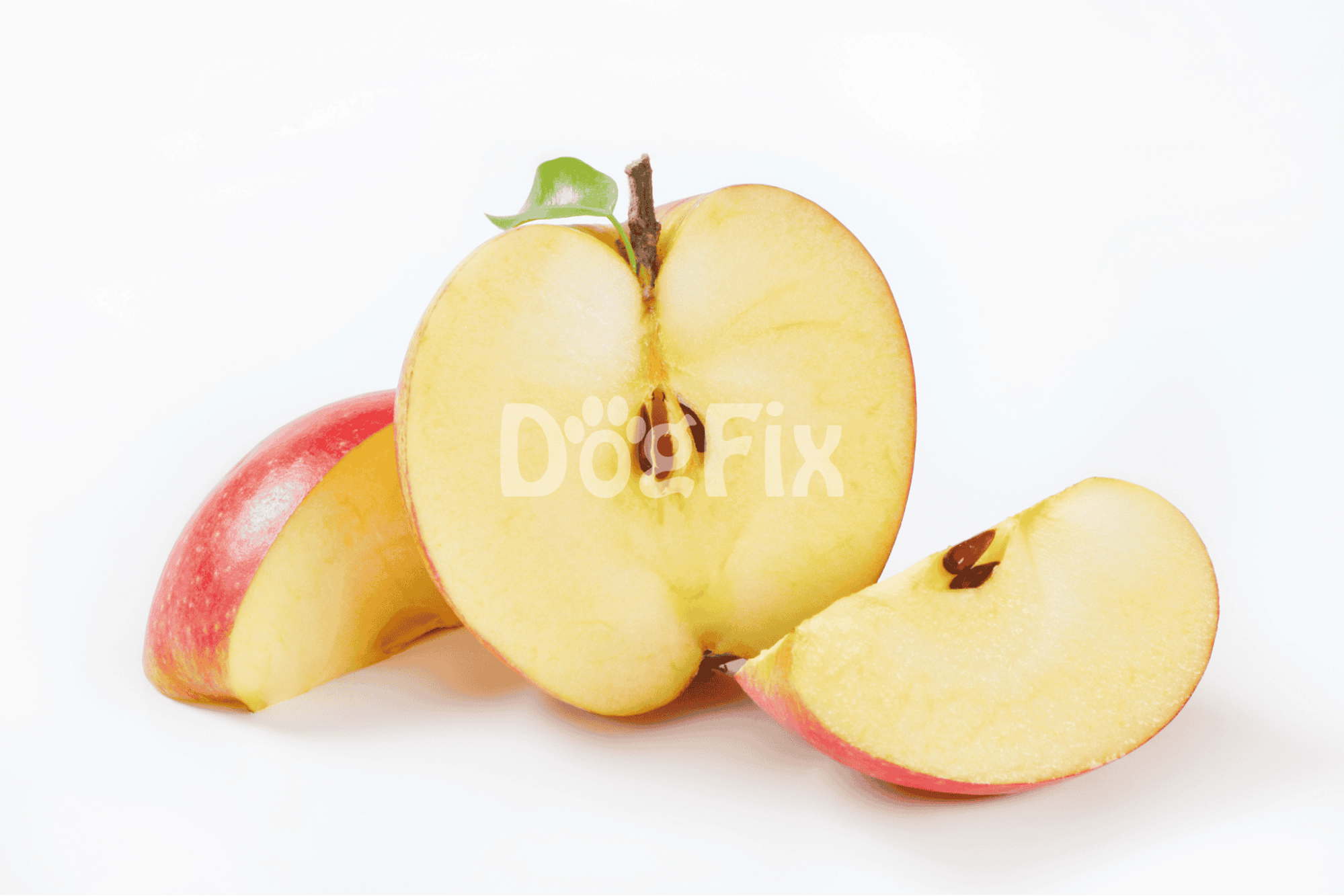 Fresh apple slices with red skin and juicy interior, ideal for canine and human consumption.