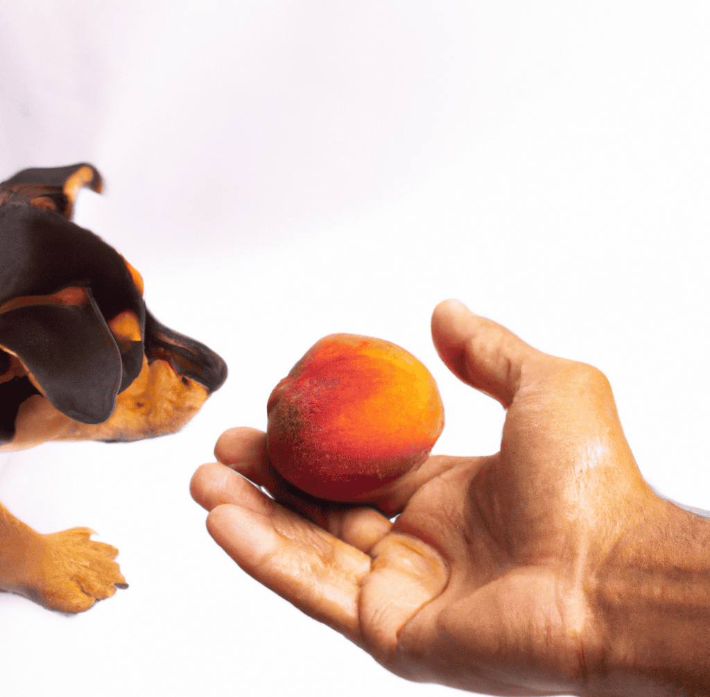 Feeding Peaches to Dogs A Guide to Safe Snacking