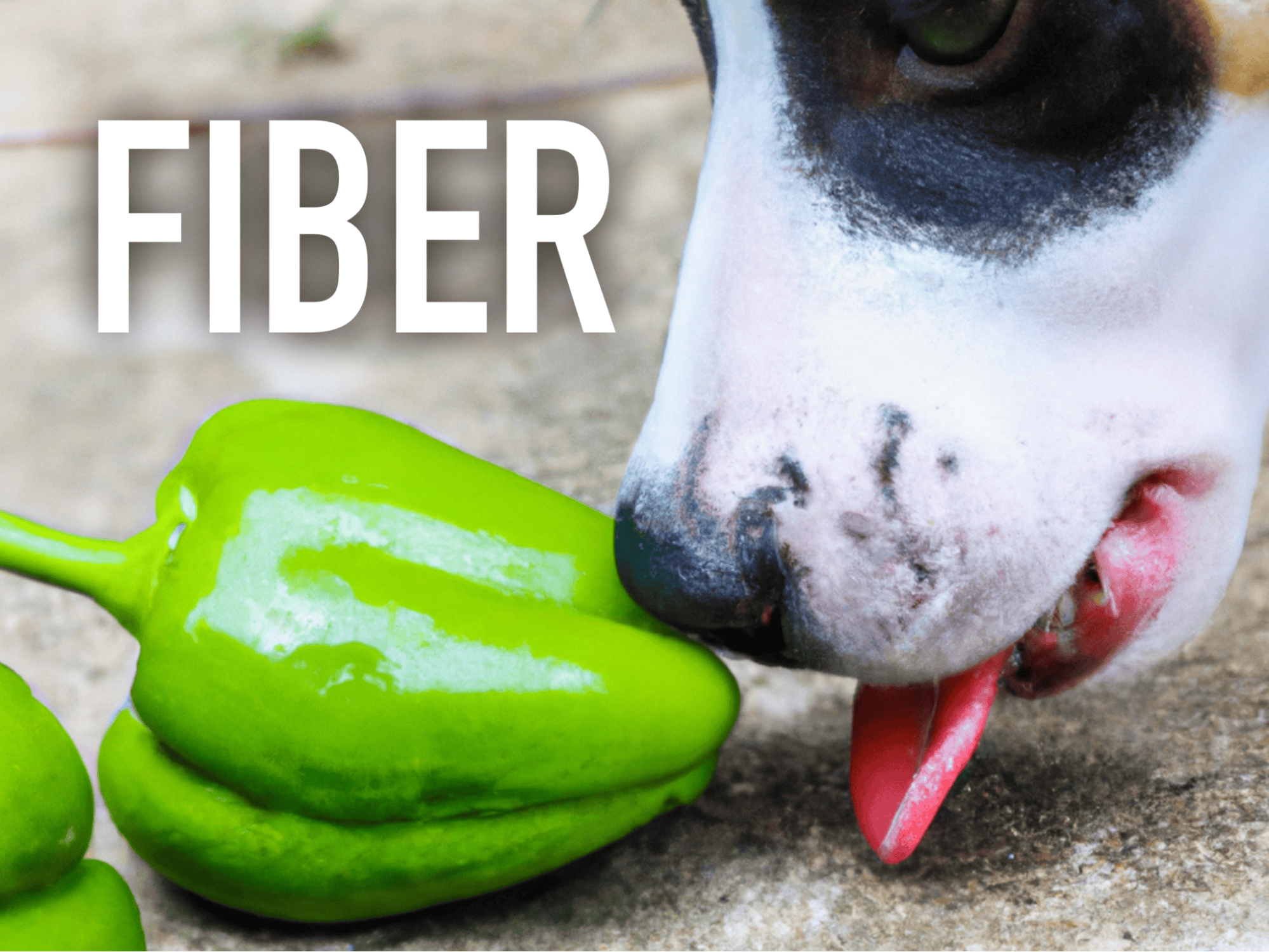 High-fiber green bell peppers with dog on a concrete surface.