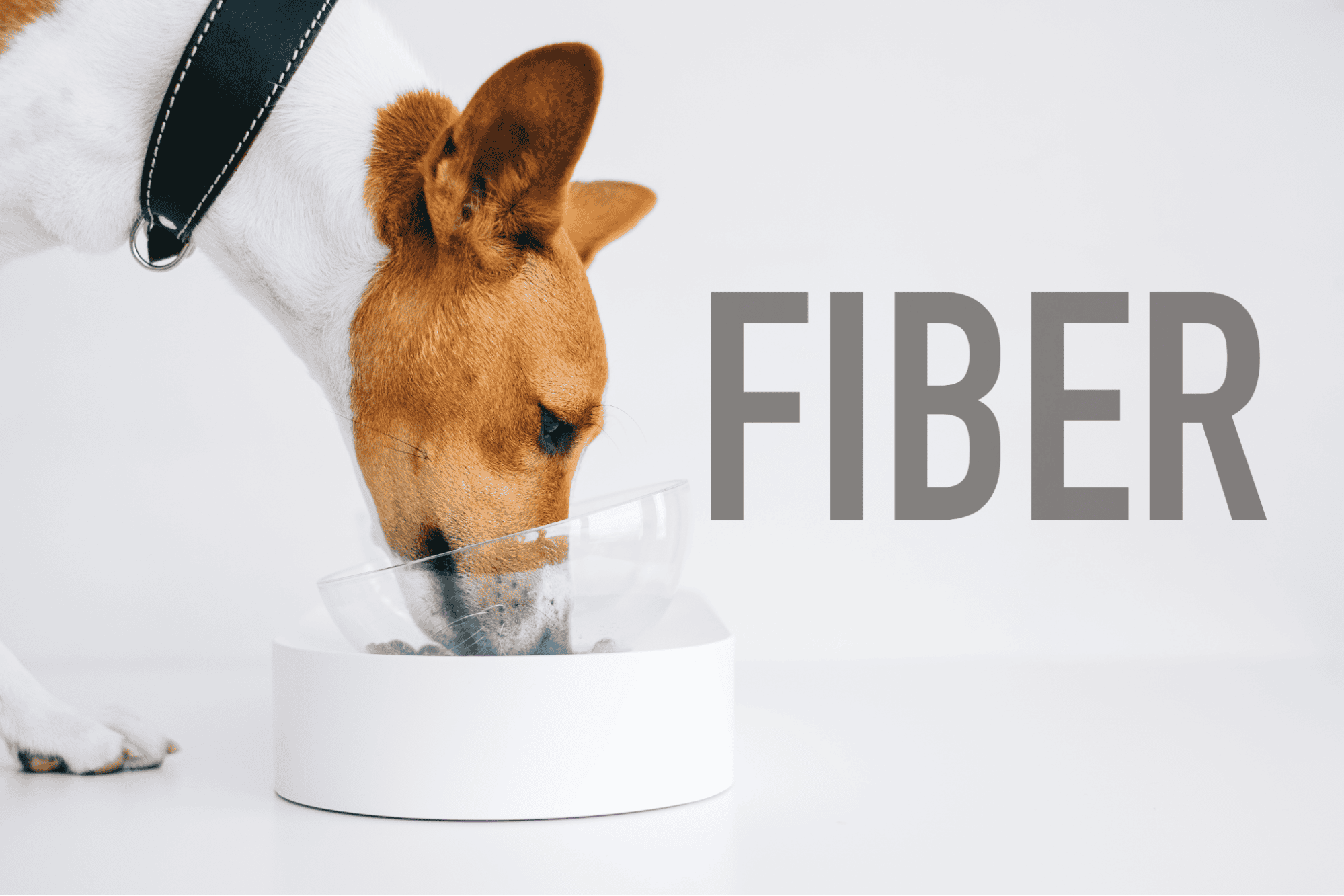 Fiber