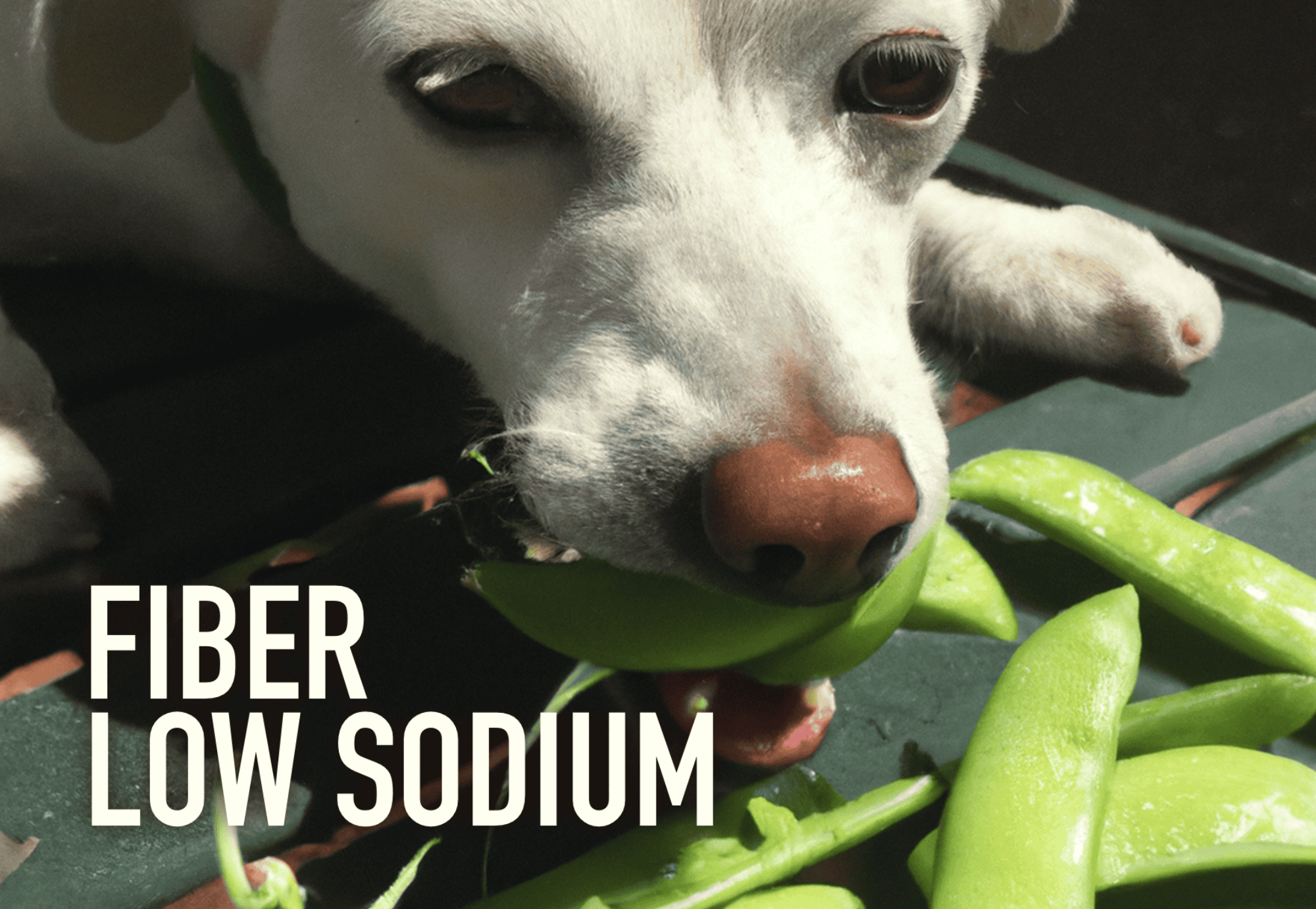 High-fiber, low-sodium dog food for healthier digestion.