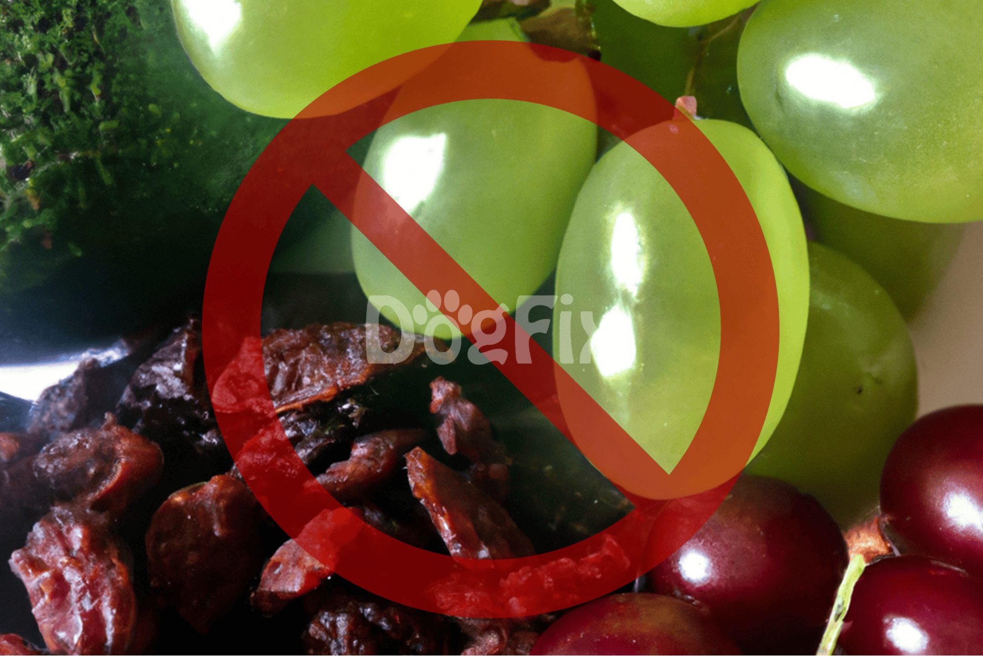 High-quality, dog-safe produce including grapes, raisins, and healthy vegetables for pets.