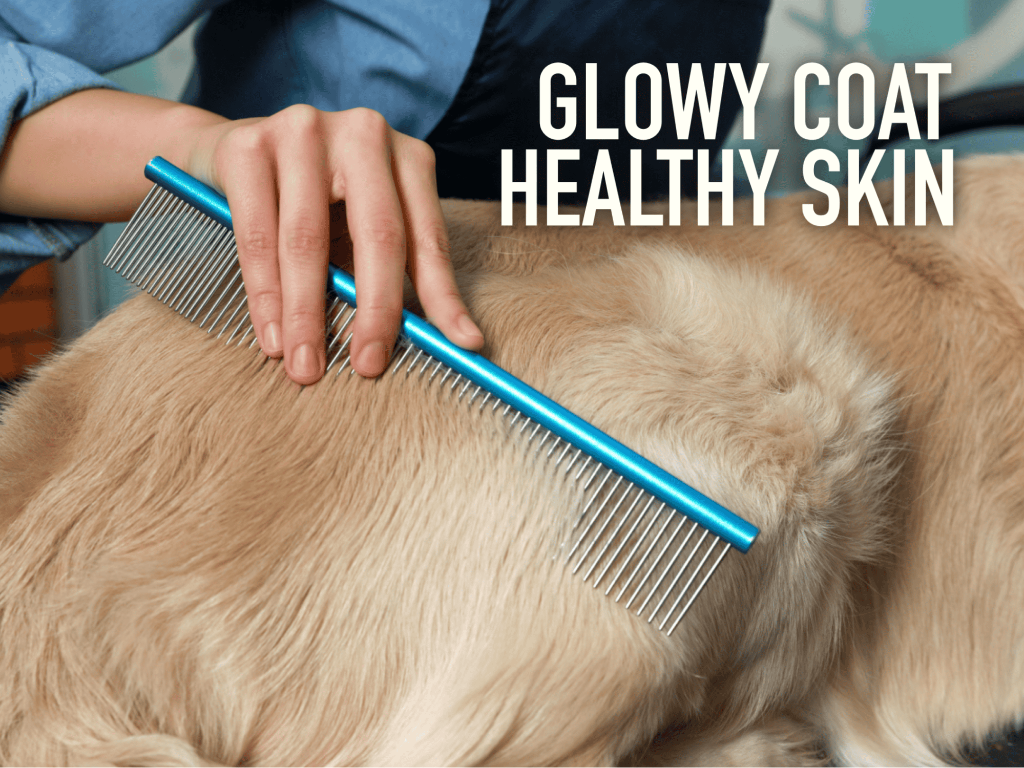Grooming dog for shiny, healthy coat and skin with dog grooming tools.