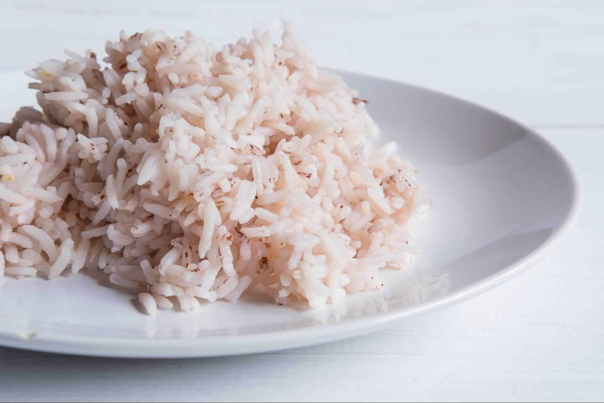 Healthy cooked rice for dogs on a white plate, ideal for dog nutrition and digestion.
