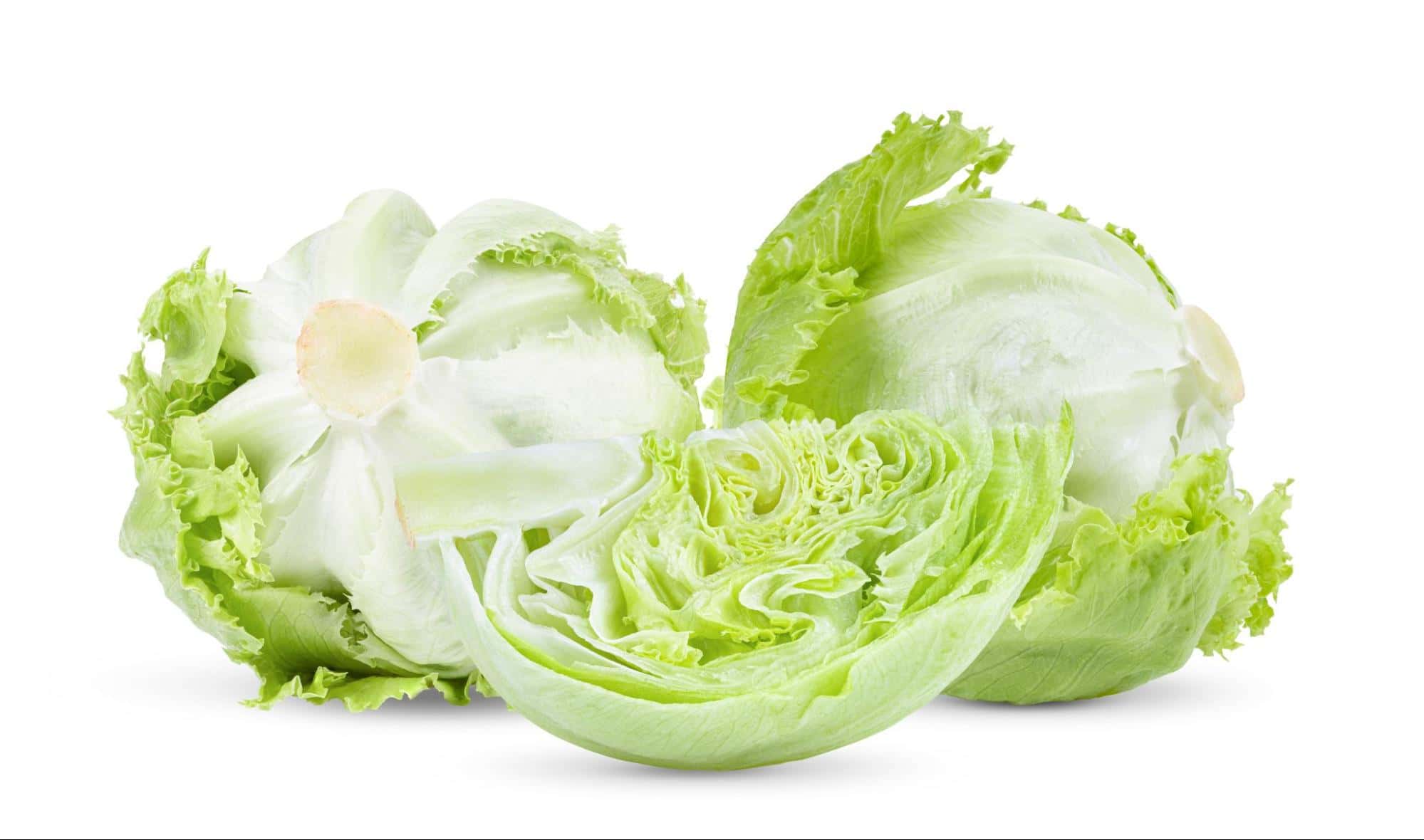 Iceberg Lettuce