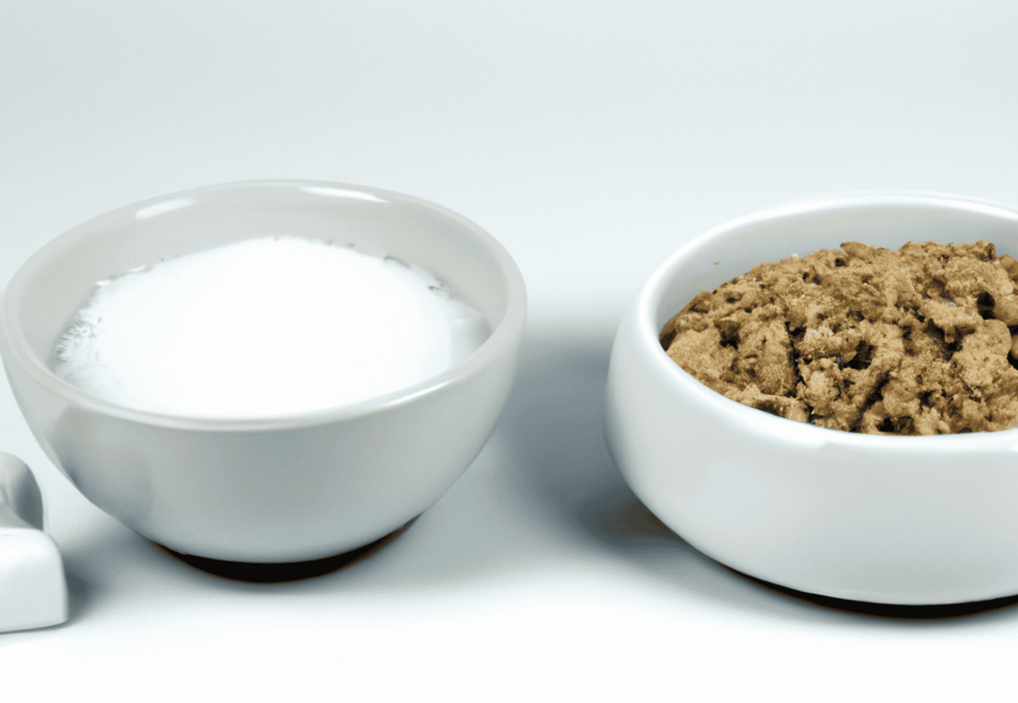 Close-up of milk and ground dog food in bowls, healthy pet meal options.