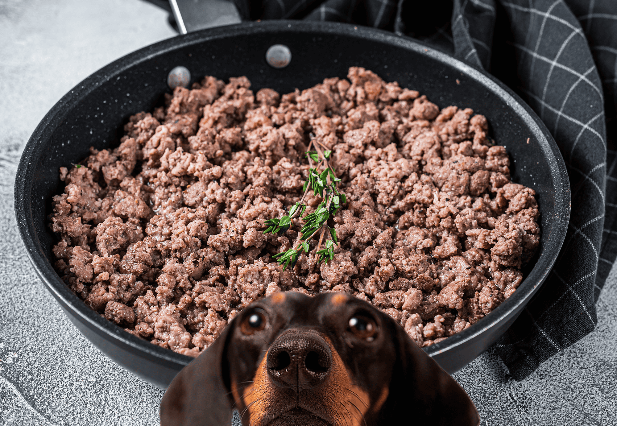 Delicious home-cooked ground beef dog food with herbs in a black bowl.