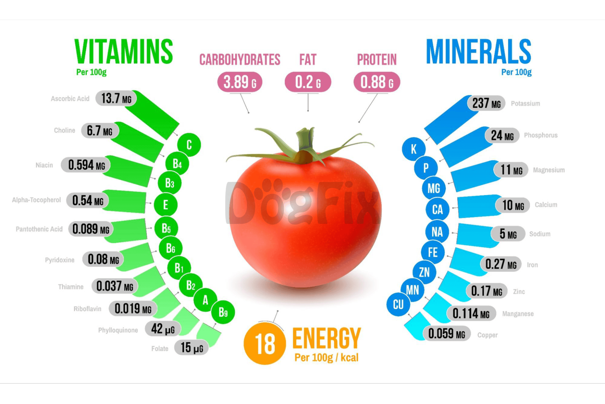 Alt text: Colorful infographic showing vitamins, minerals, carbs, fats, proteins, and energy content for dog nutrition.