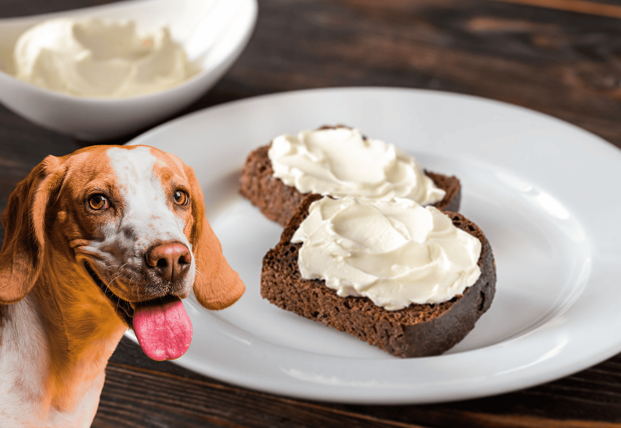 Delicious homemade dog treats topped with creamy cheese, perfect for pampering your furry friend.