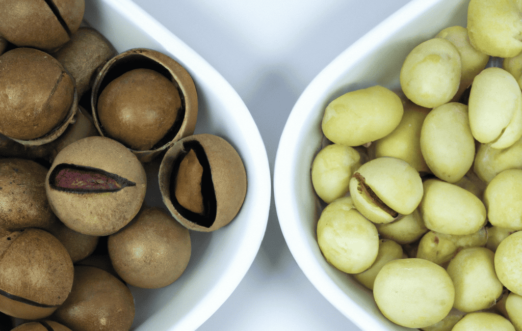 Macadamia And Pistachios