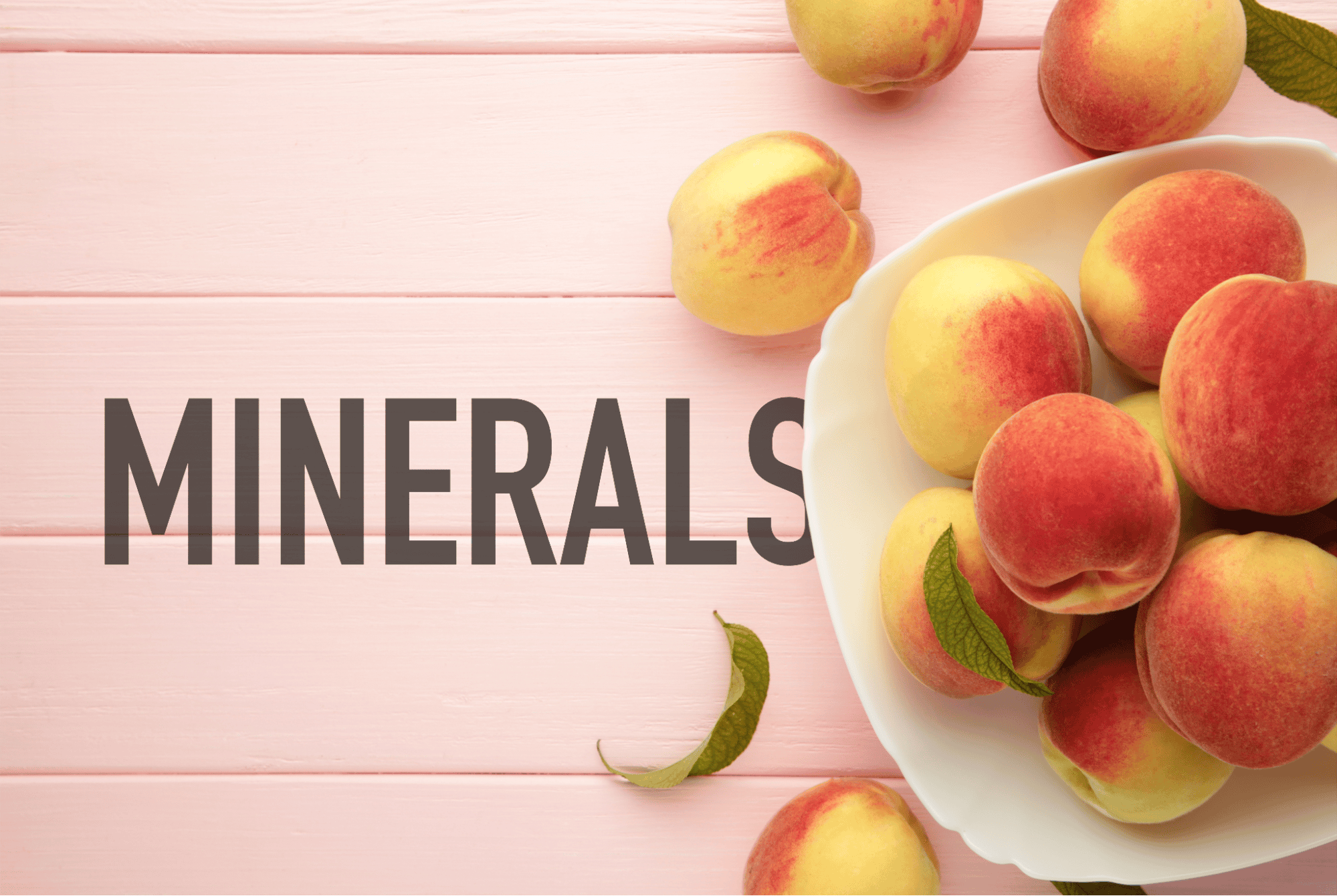 Healthy dog minerals, natural nutritional supplements, focusing on dog health.