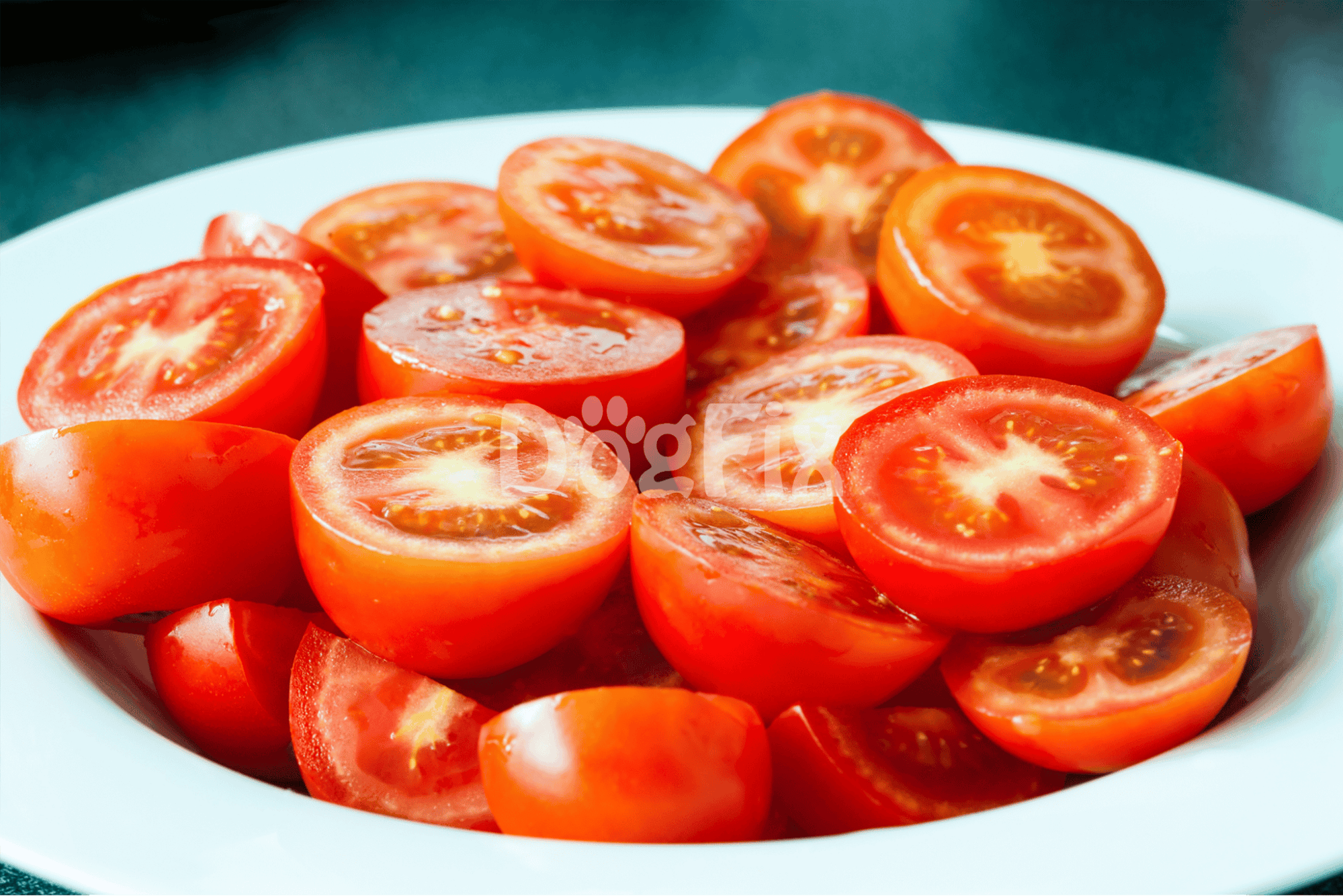 Vibrant sliced cherry tomatoes in a white bowl, ideal for healthy dog treats and canine nutrition.