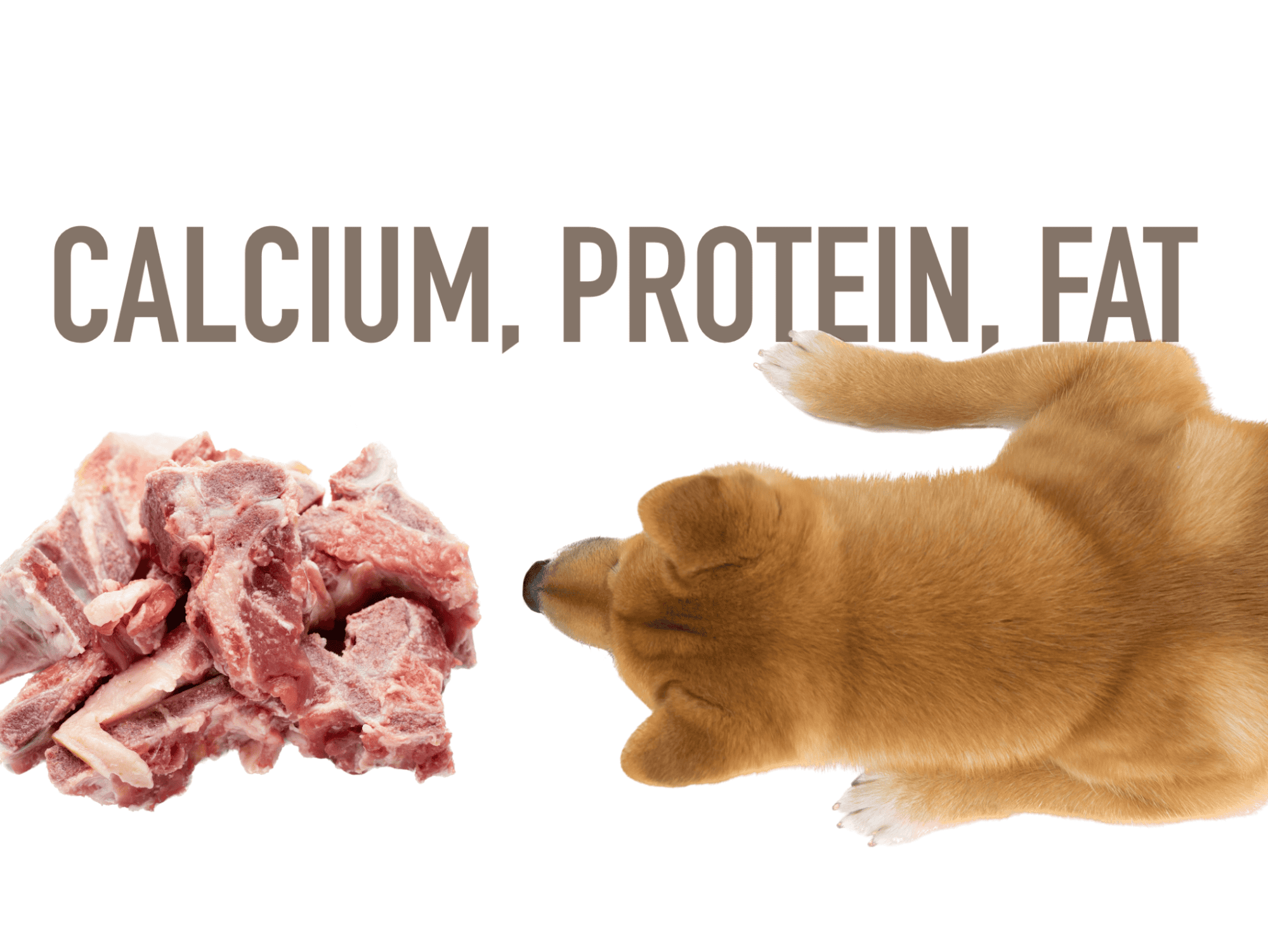 High-quality raw meat for dogs’ calcium, protein, fat, nutritional needs.