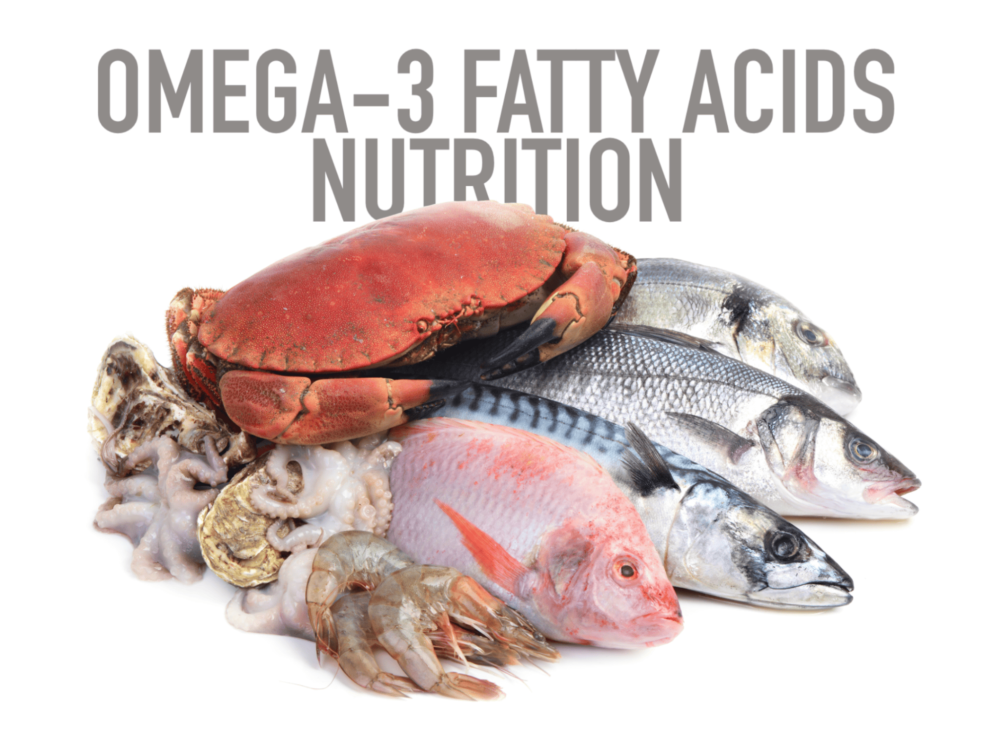 Fresh fish, crab, and seafood boost canine health with Omega-3 fatty acids.