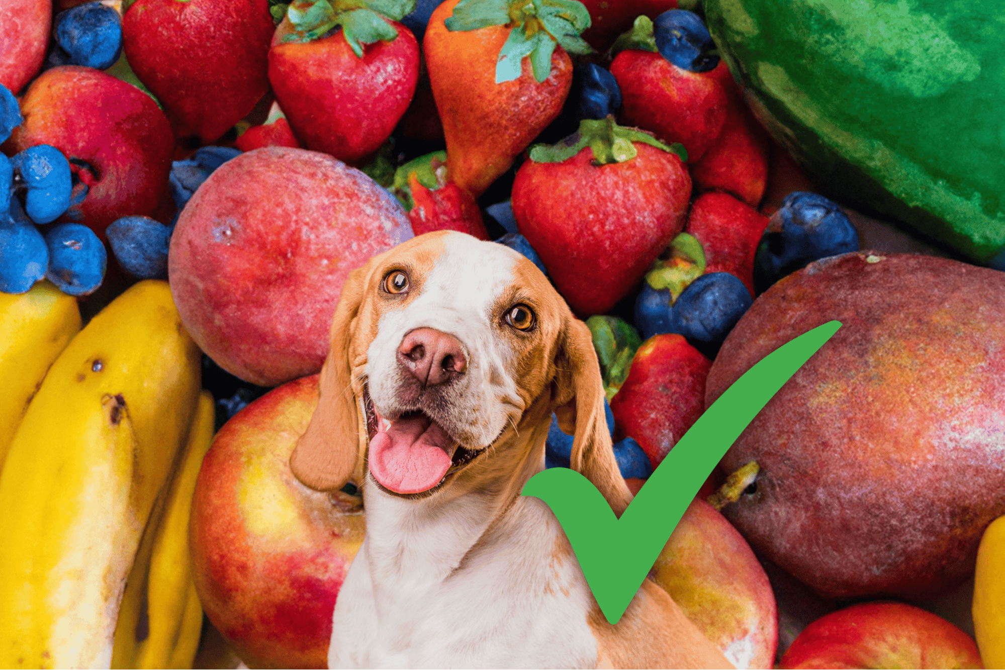 Healthy dog food, fresh fruits for pets, veterinarian-approved treats.