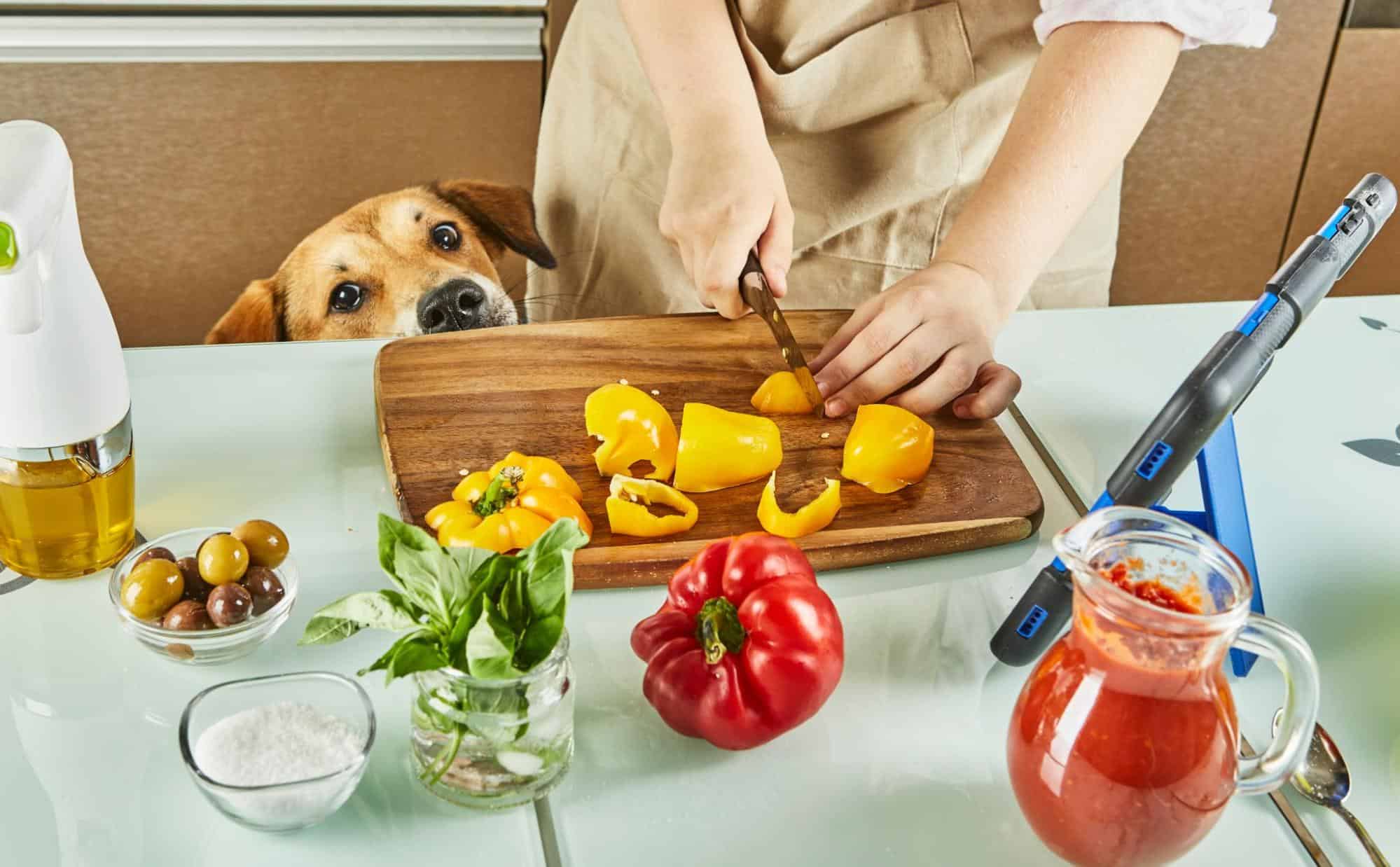 Dog looking at fresh vegetables during meal prep.