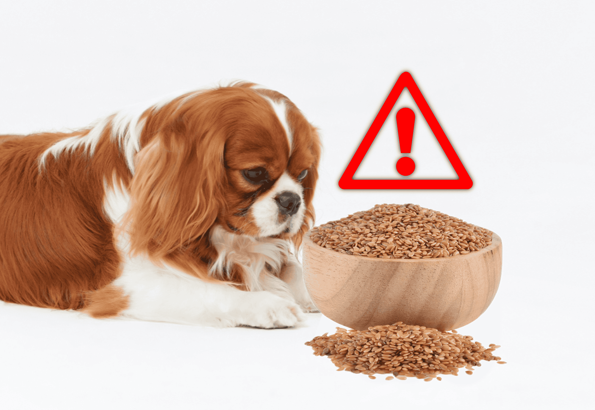 Potential Risks and Side Effects