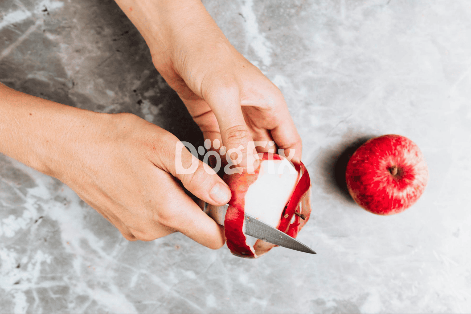 Healthy homemade dog treats with fresh apples from Dogfix.com.