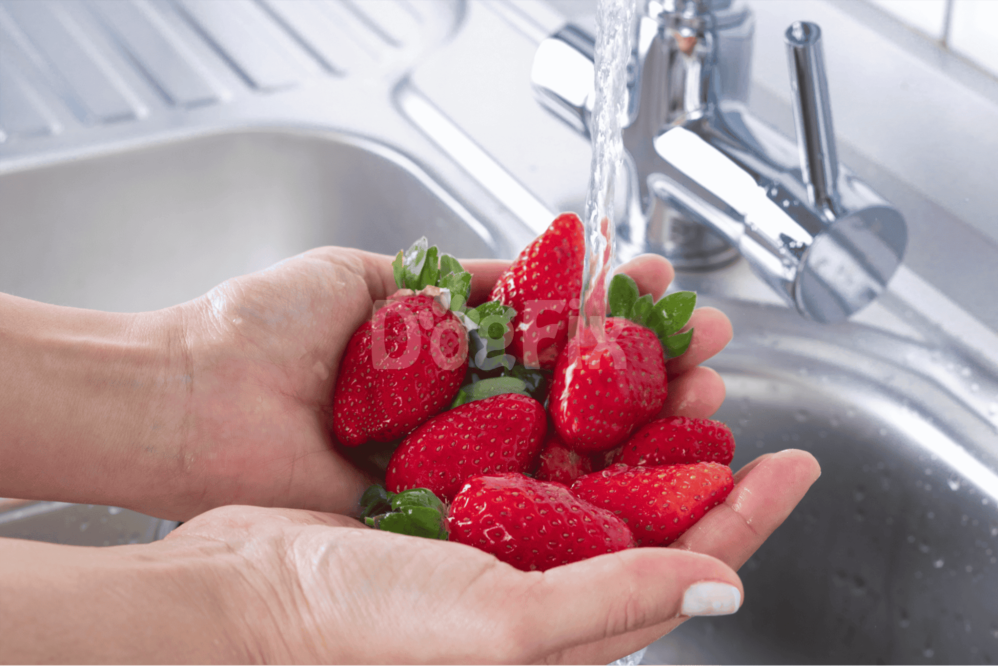 Delicious strawberries being rinsed under running water in a modern kitchen sink for healthy pet treats.
